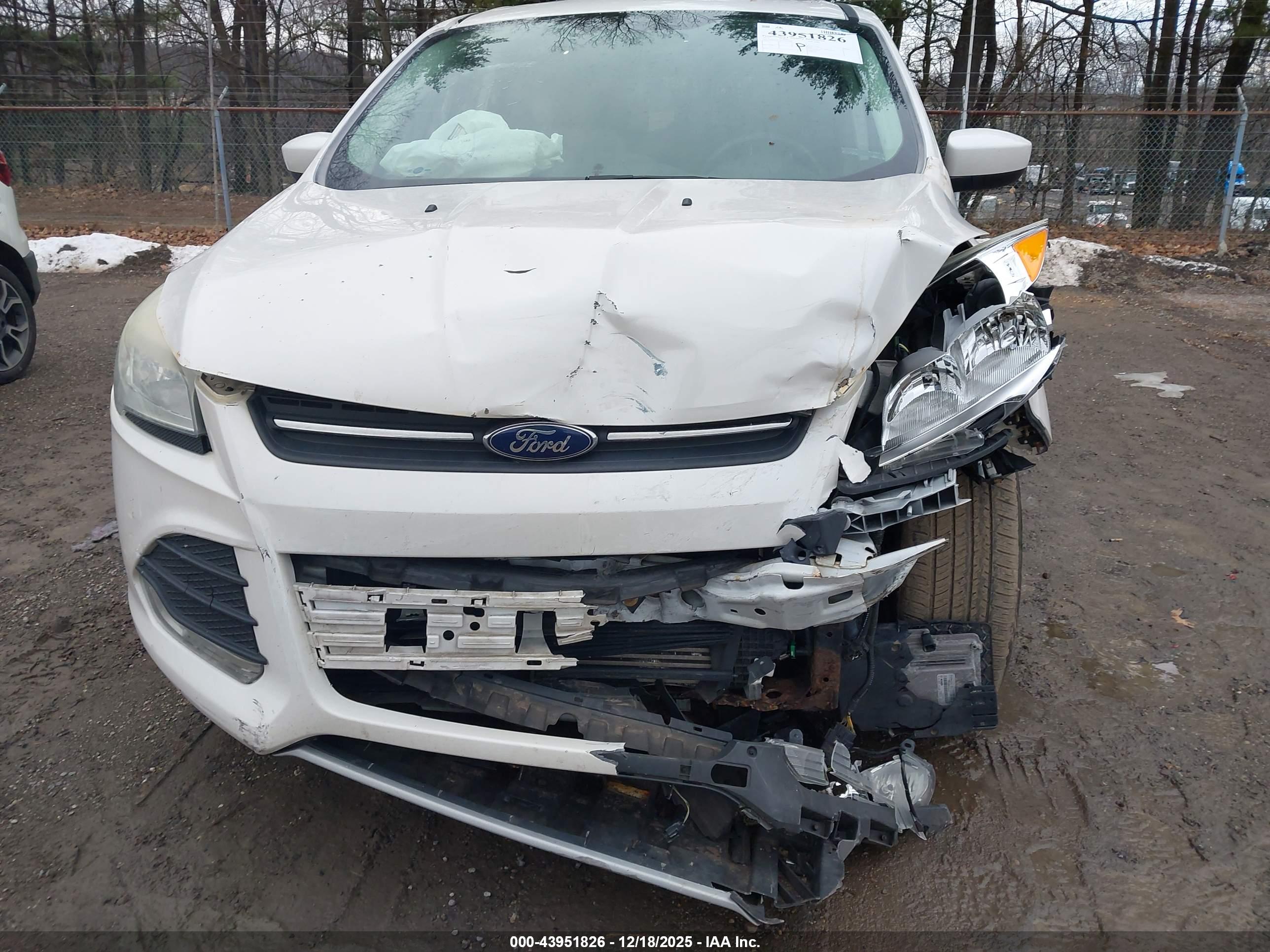 FORD ESCAPE image 6