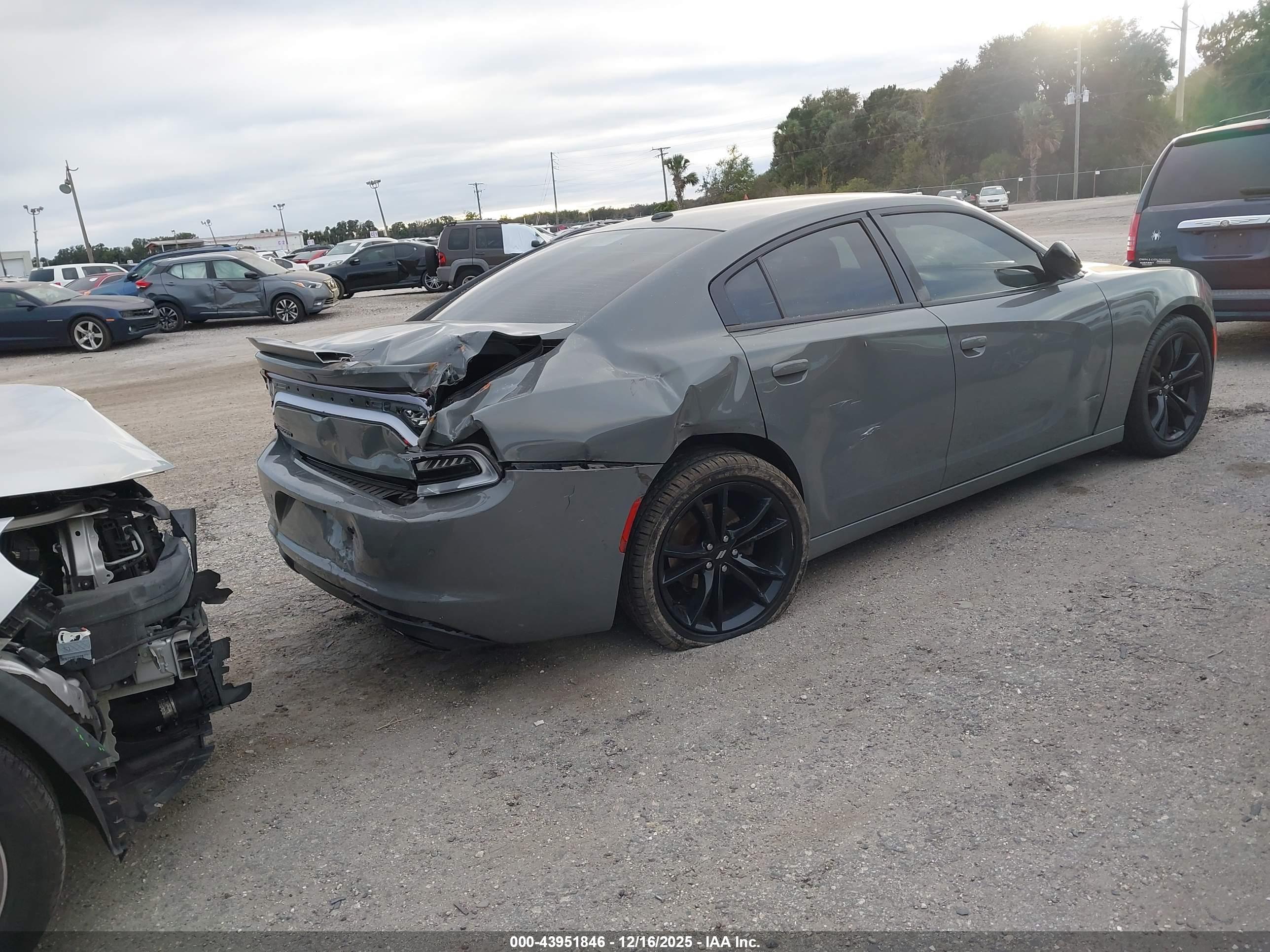 DODGE CHARGER image 4