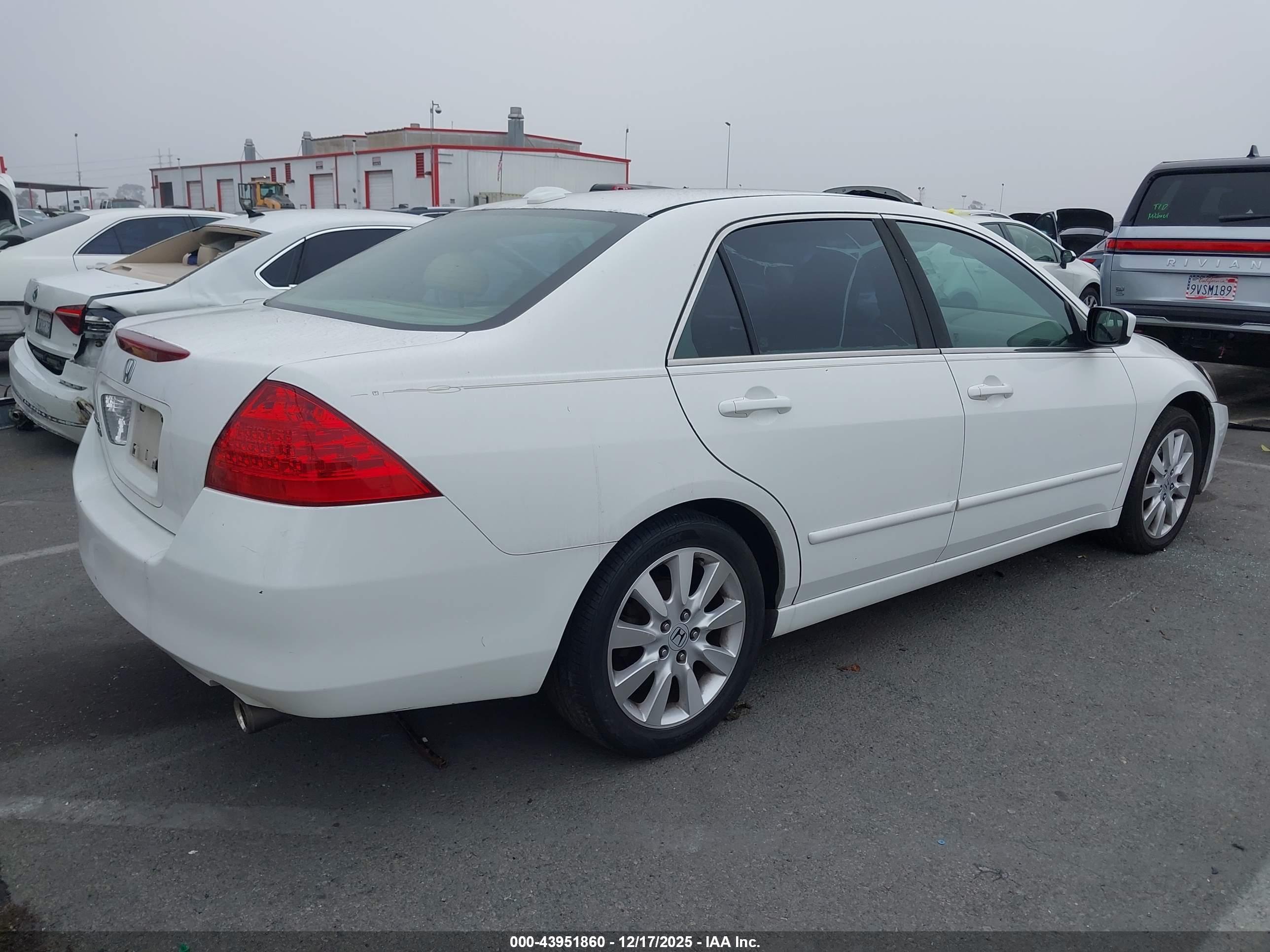 HONDA ACCORD image 4