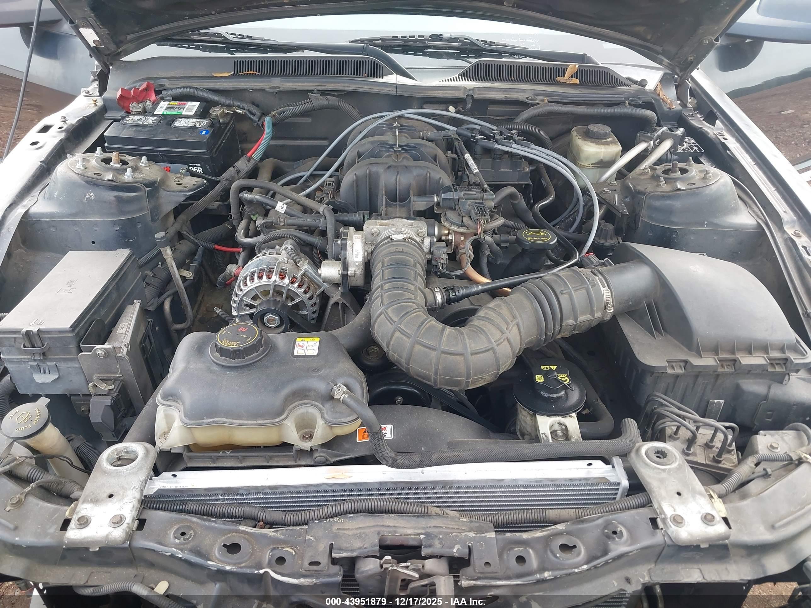 FORD MUSTANG image 10