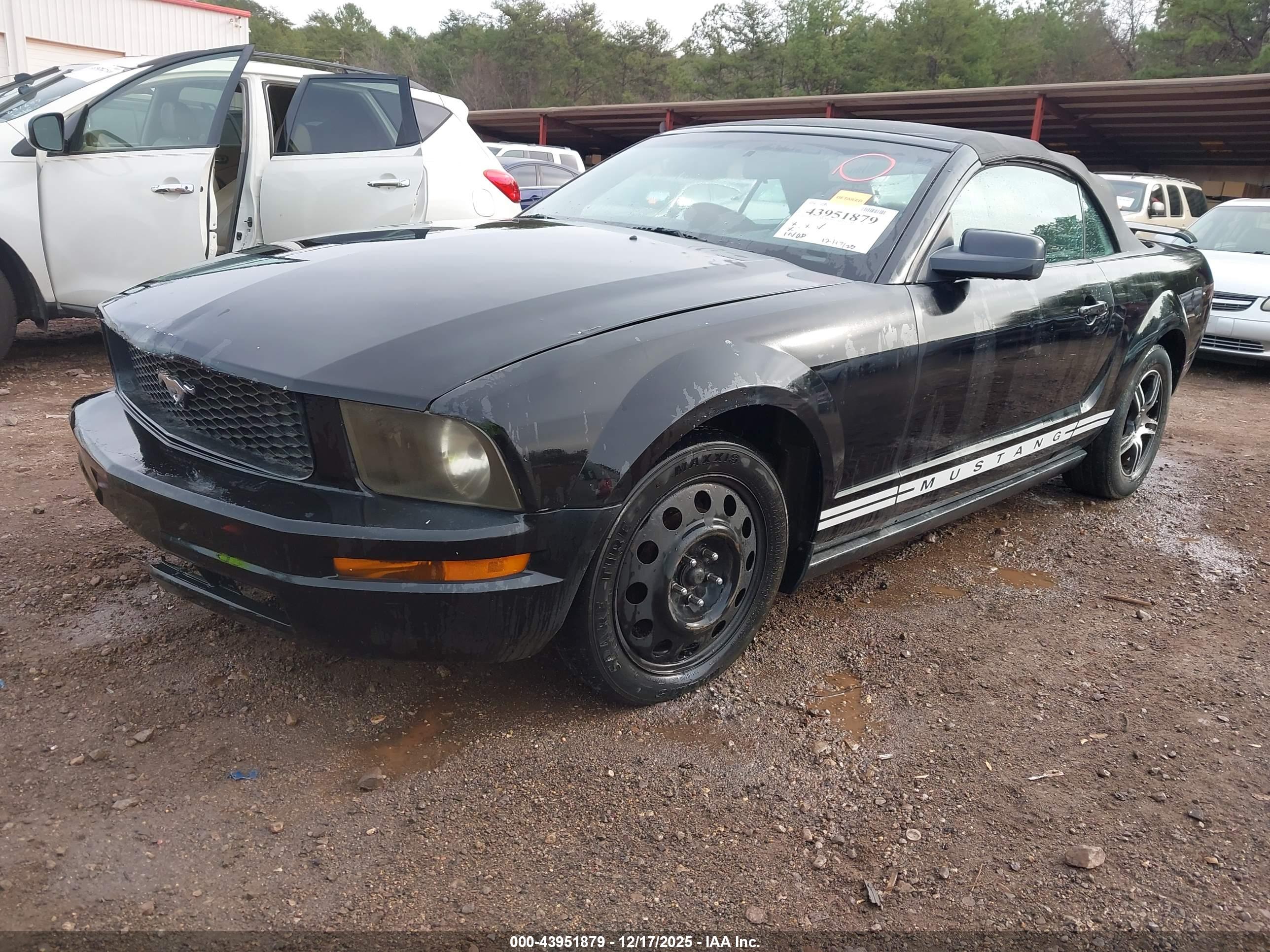 FORD MUSTANG image 2