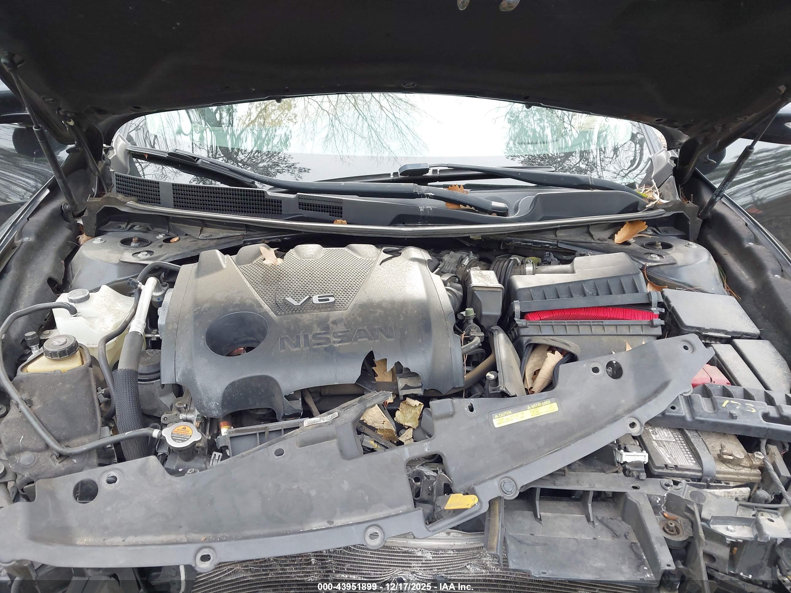 NISSAN MAXIMA image 10