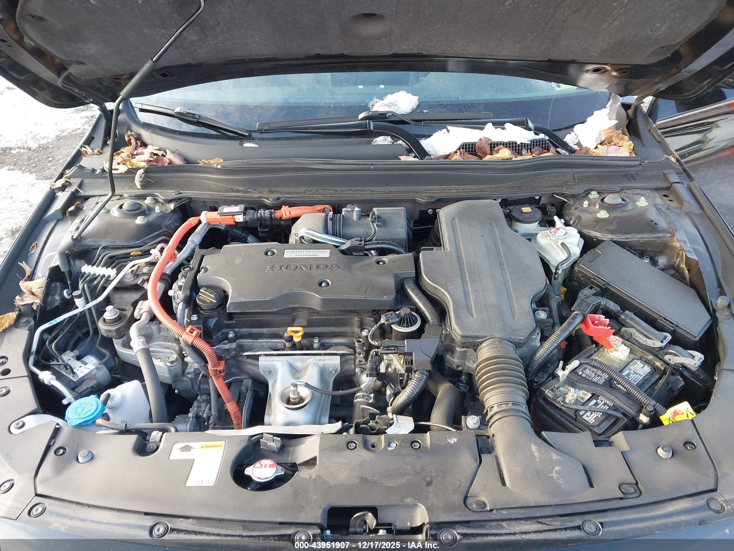 HONDA ACCORD image 10