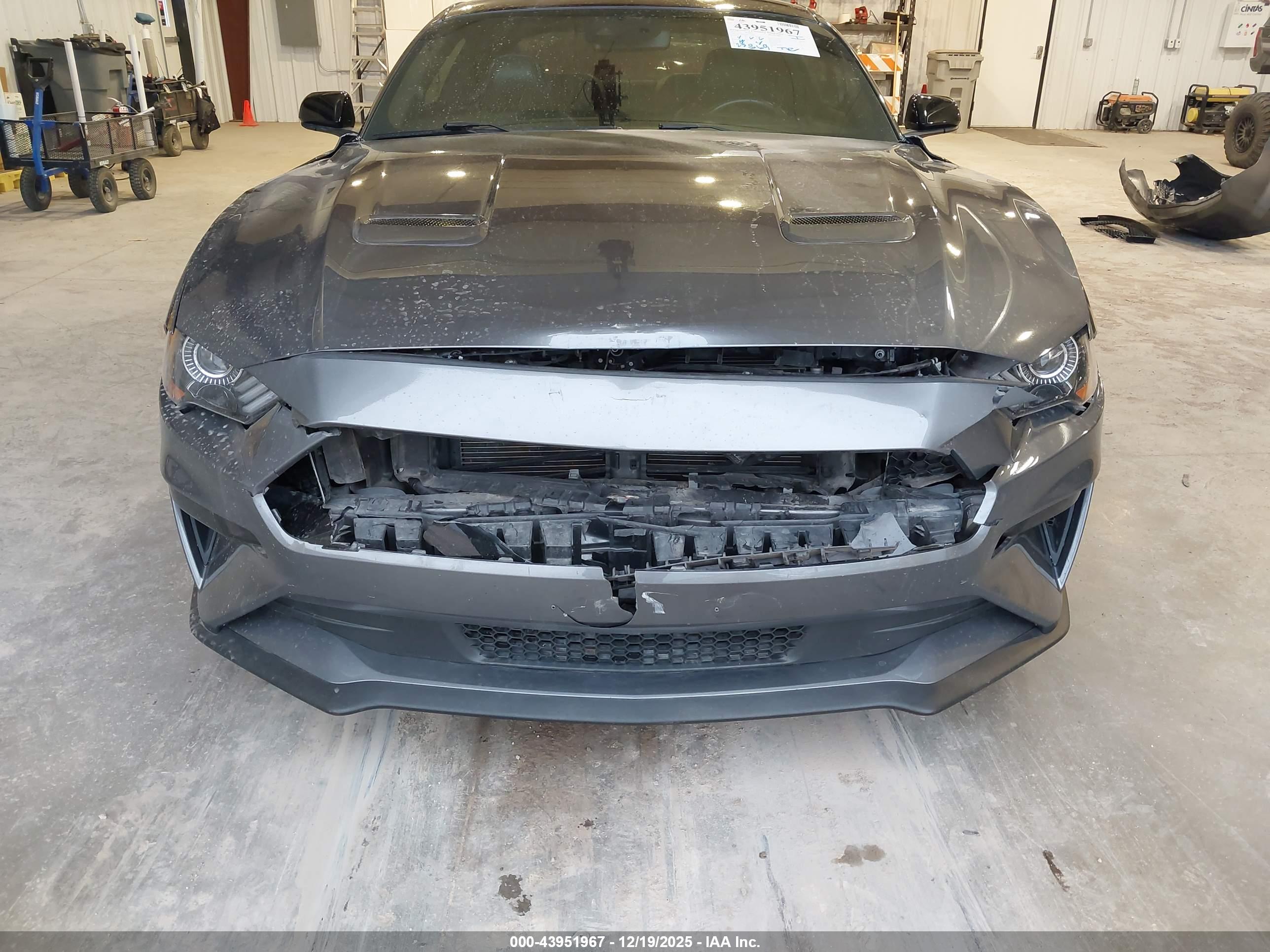 FORD MUSTANG image 6