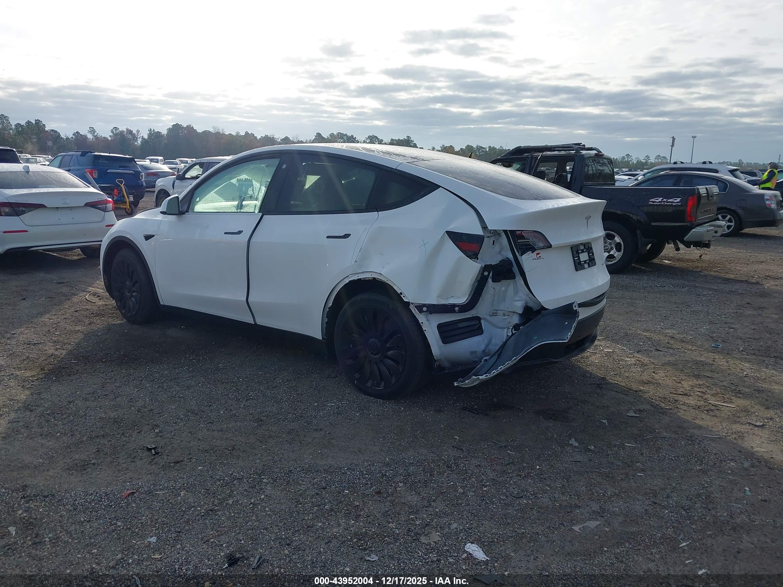 TESLA MODEL image 3