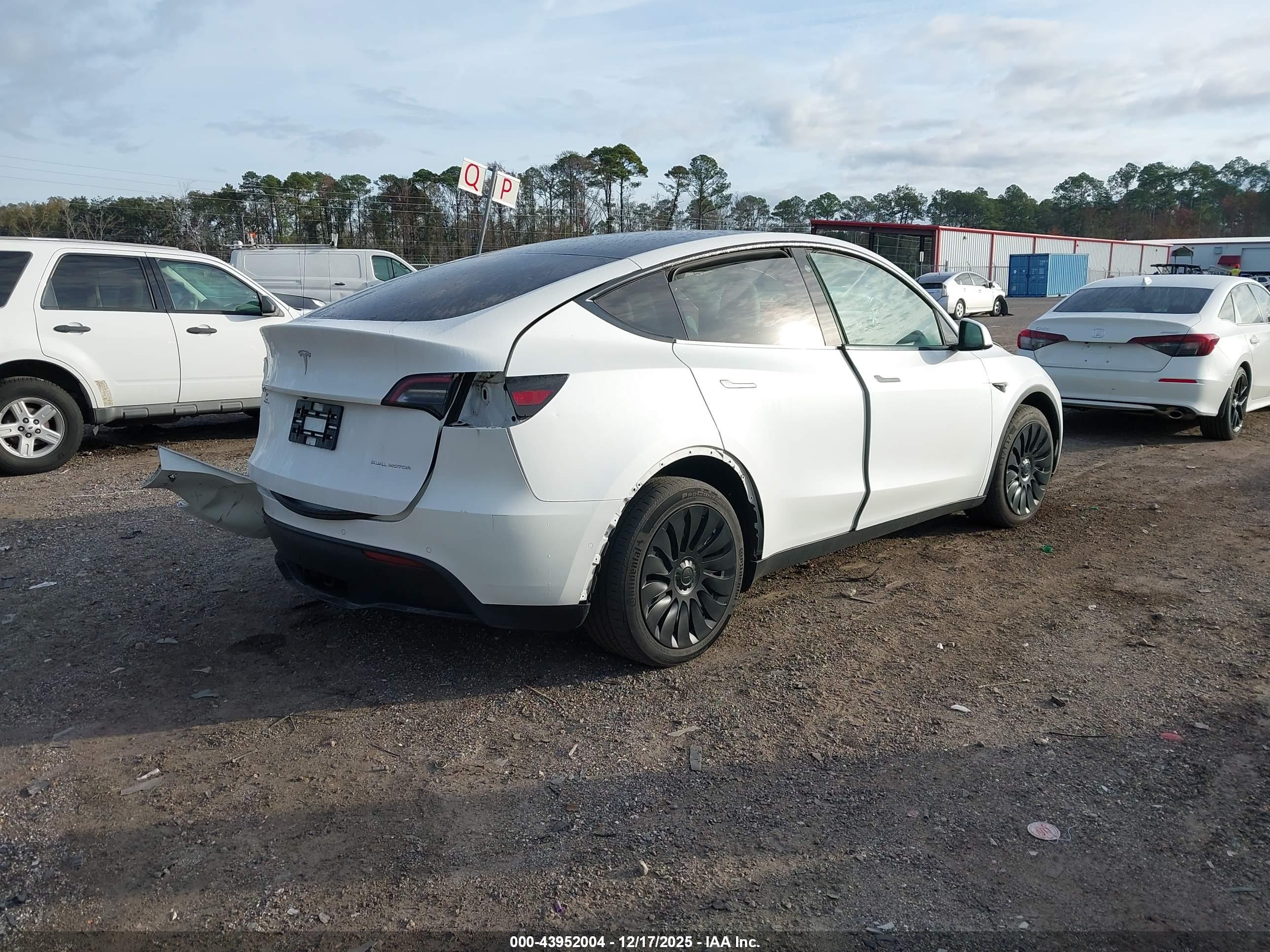 TESLA MODEL image 4