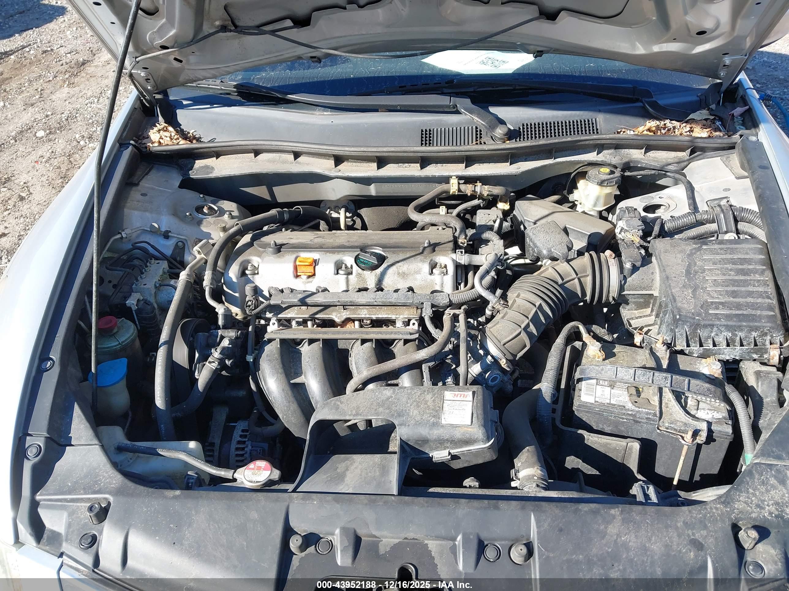 HONDA ACCORD image 10