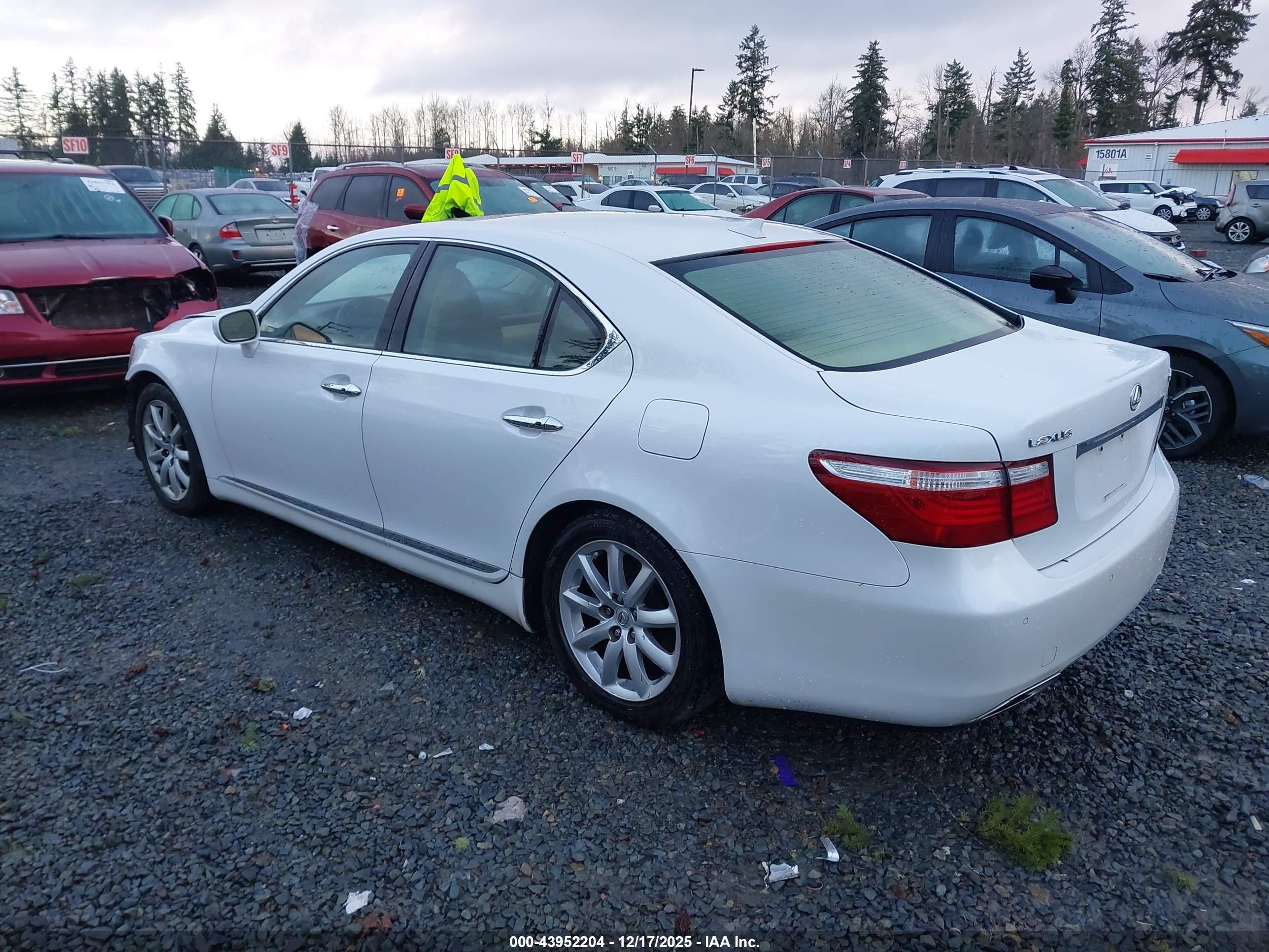 LEXUS LS image 3