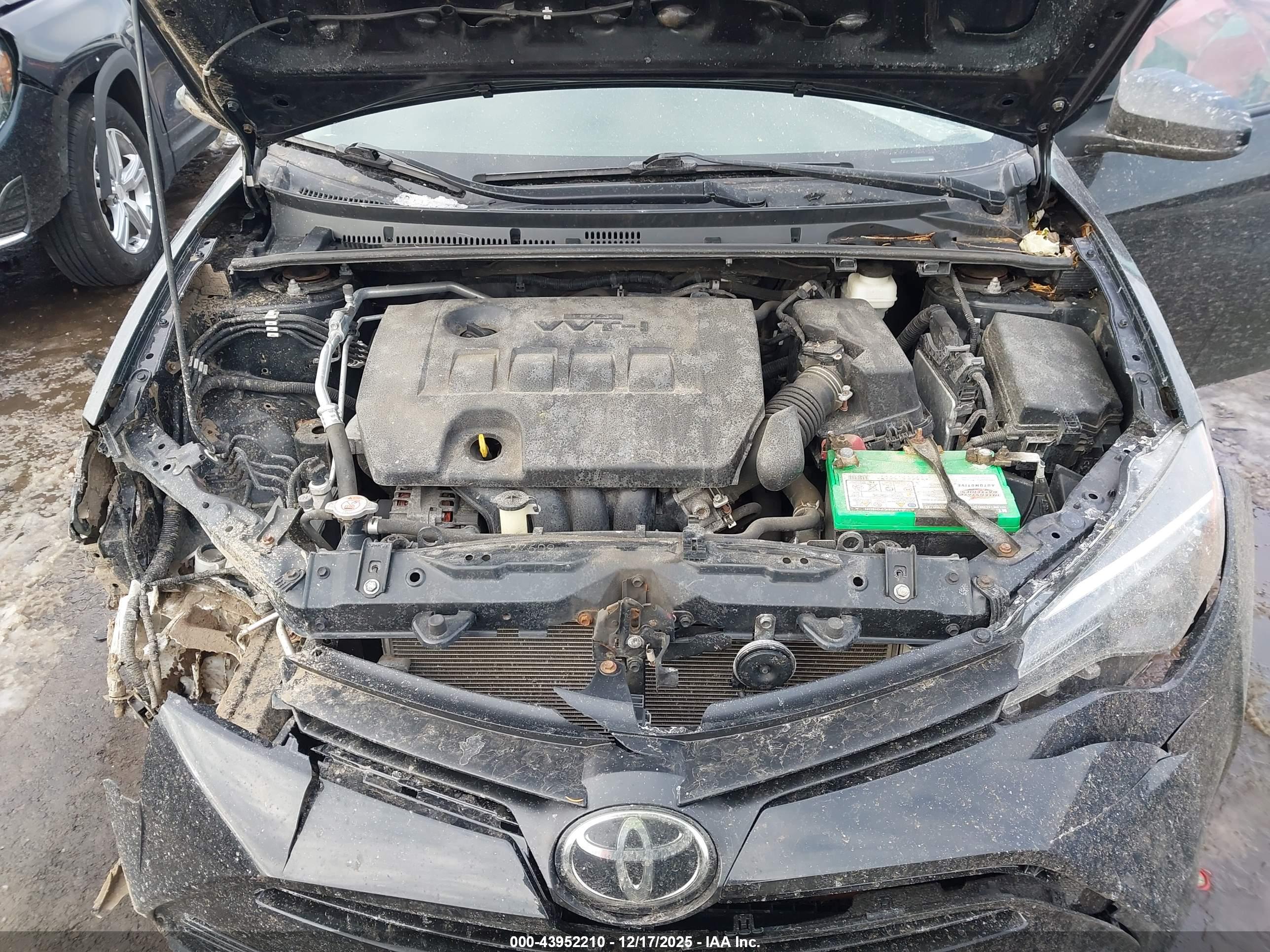 TOYOTA COROLLA image 10