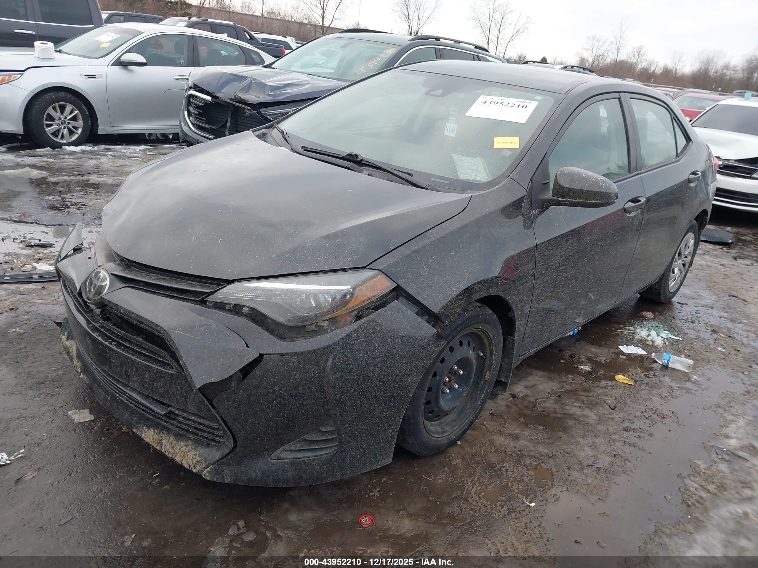 TOYOTA COROLLA image 2