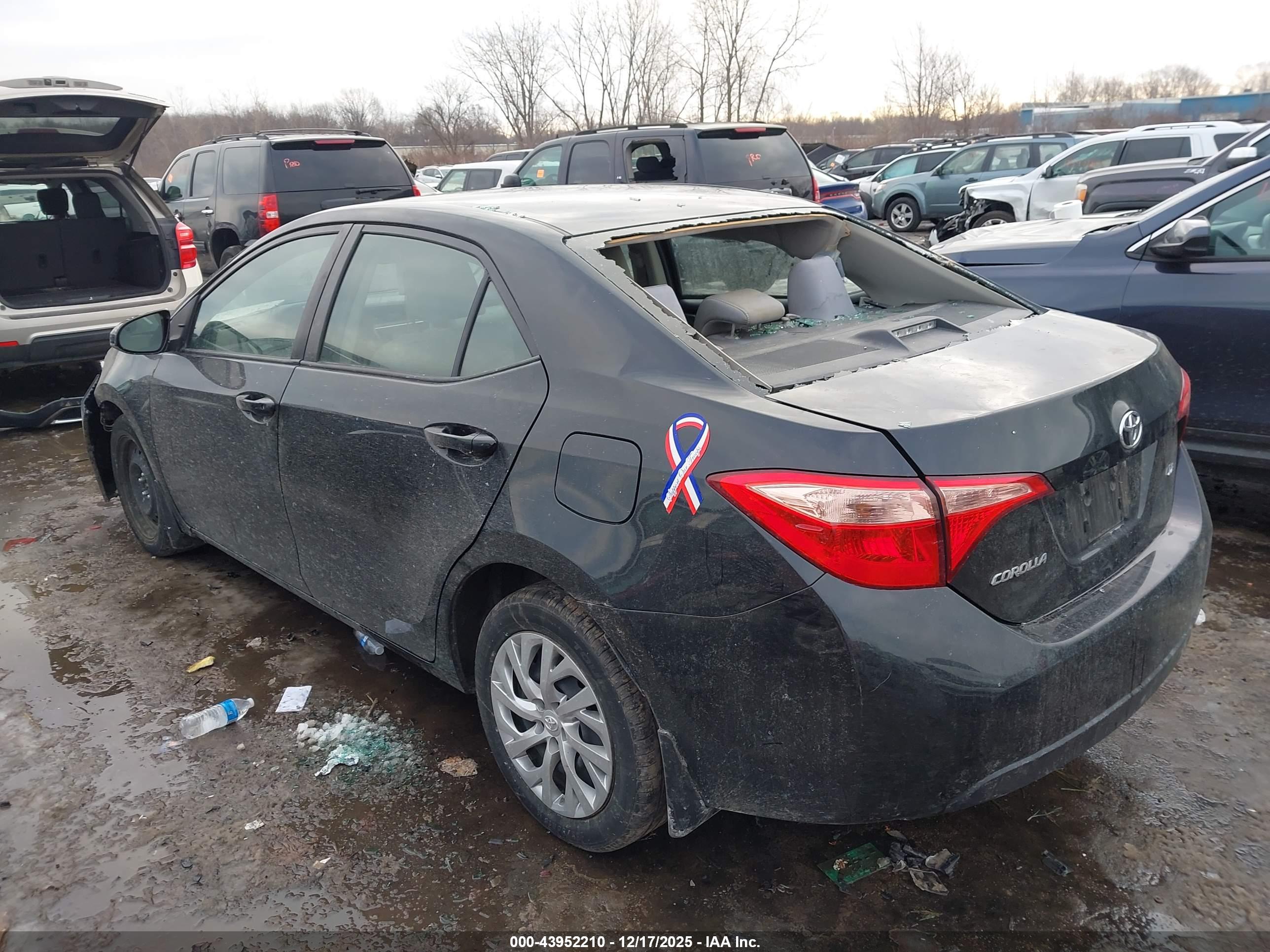 TOYOTA COROLLA image 3