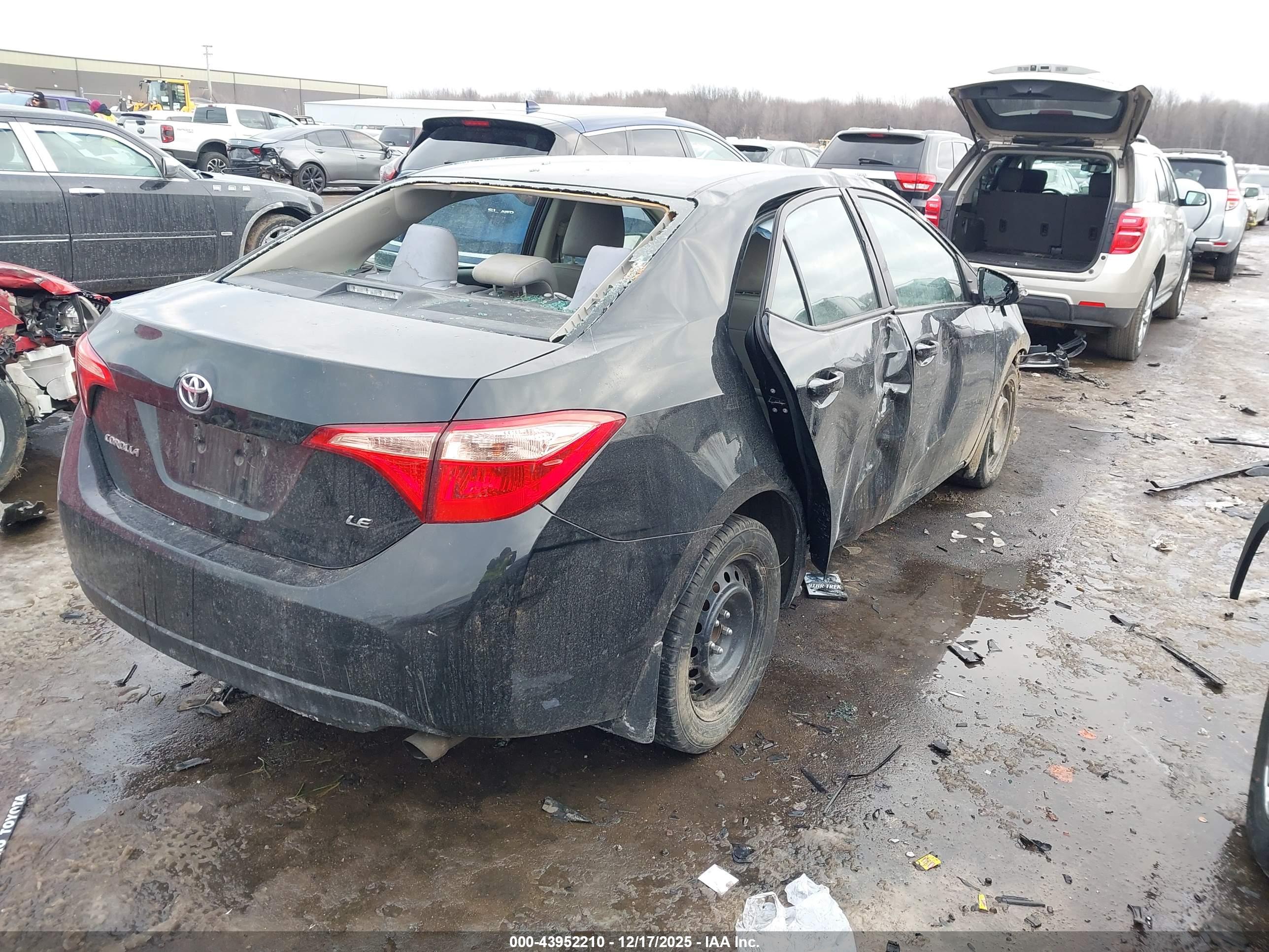 TOYOTA COROLLA image 4