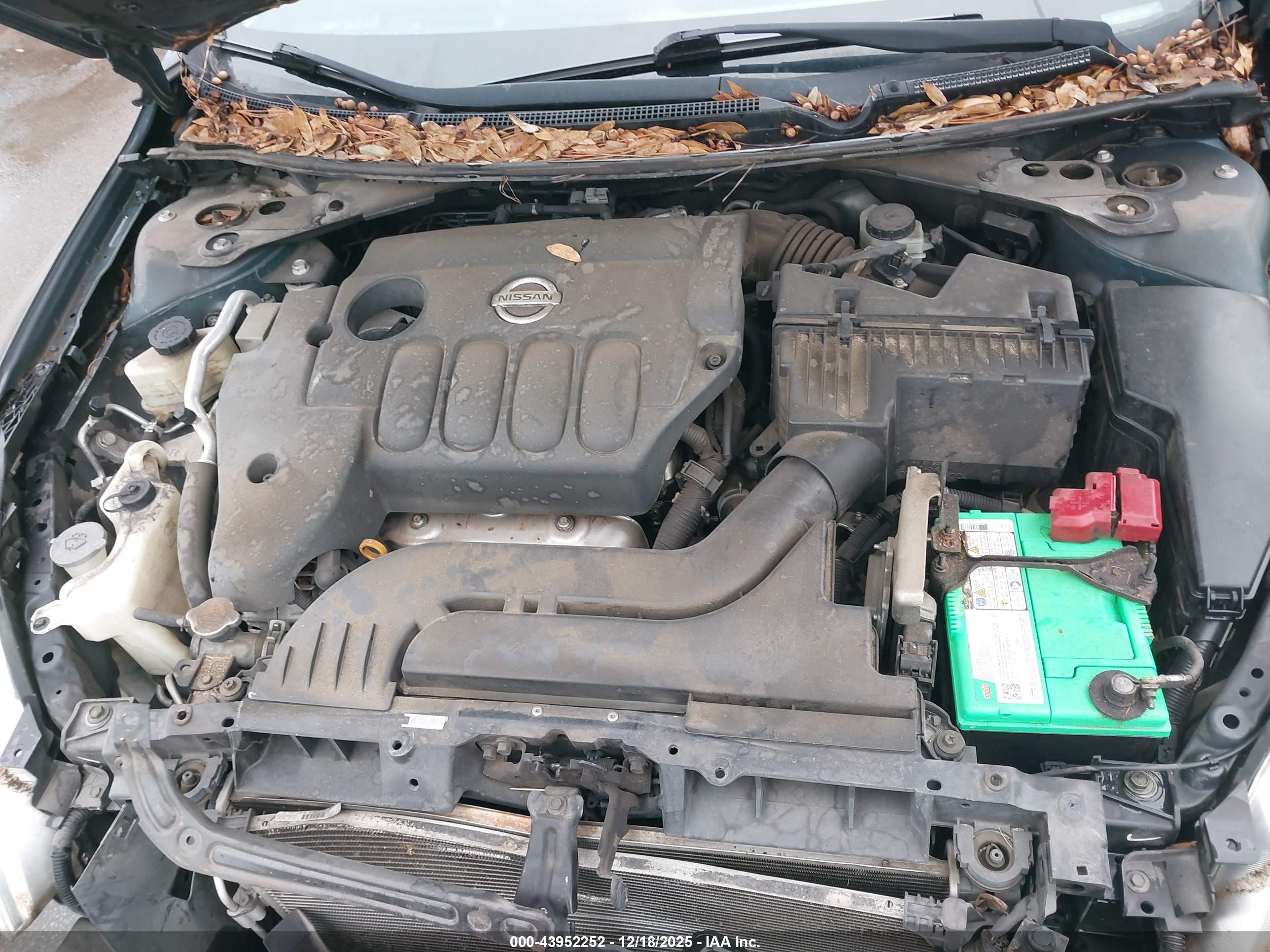 NISSAN ALTIMA image 10