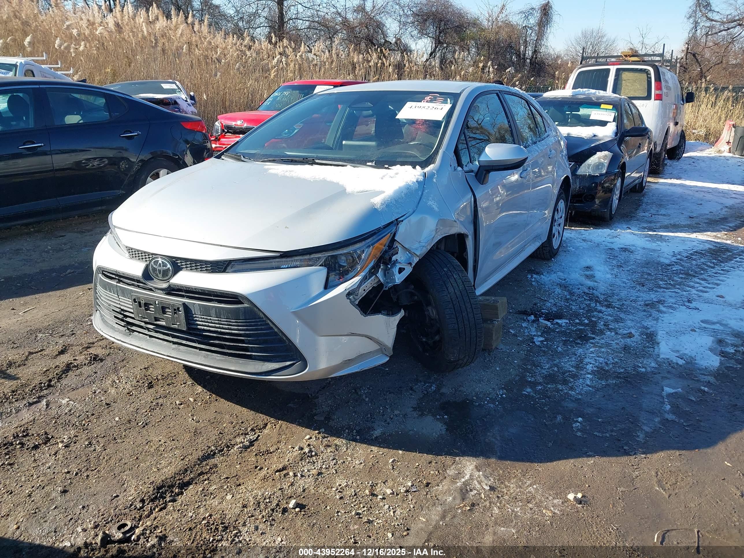 TOYOTA COROLLA image 2