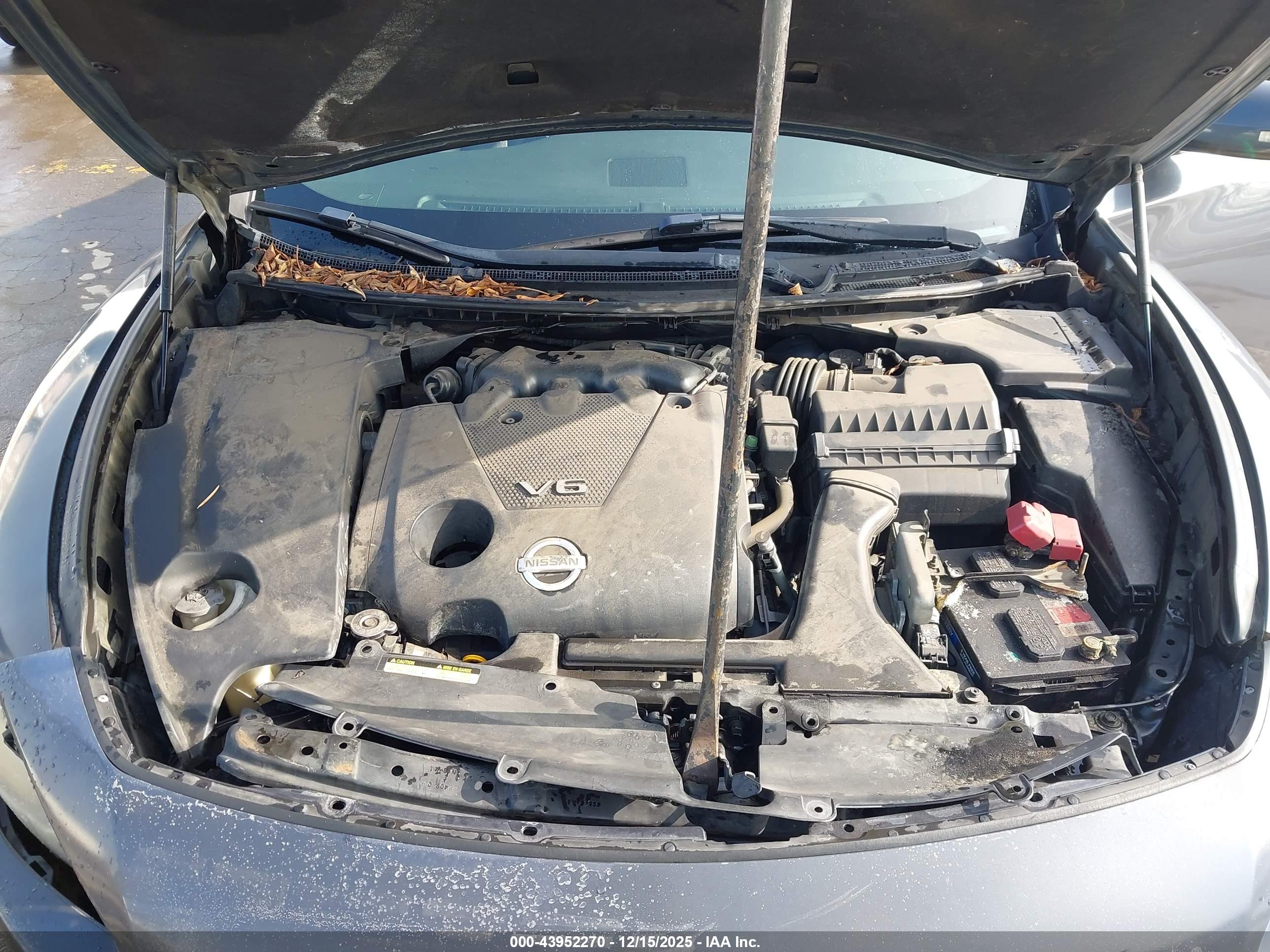 NISSAN MAXIMA image 10