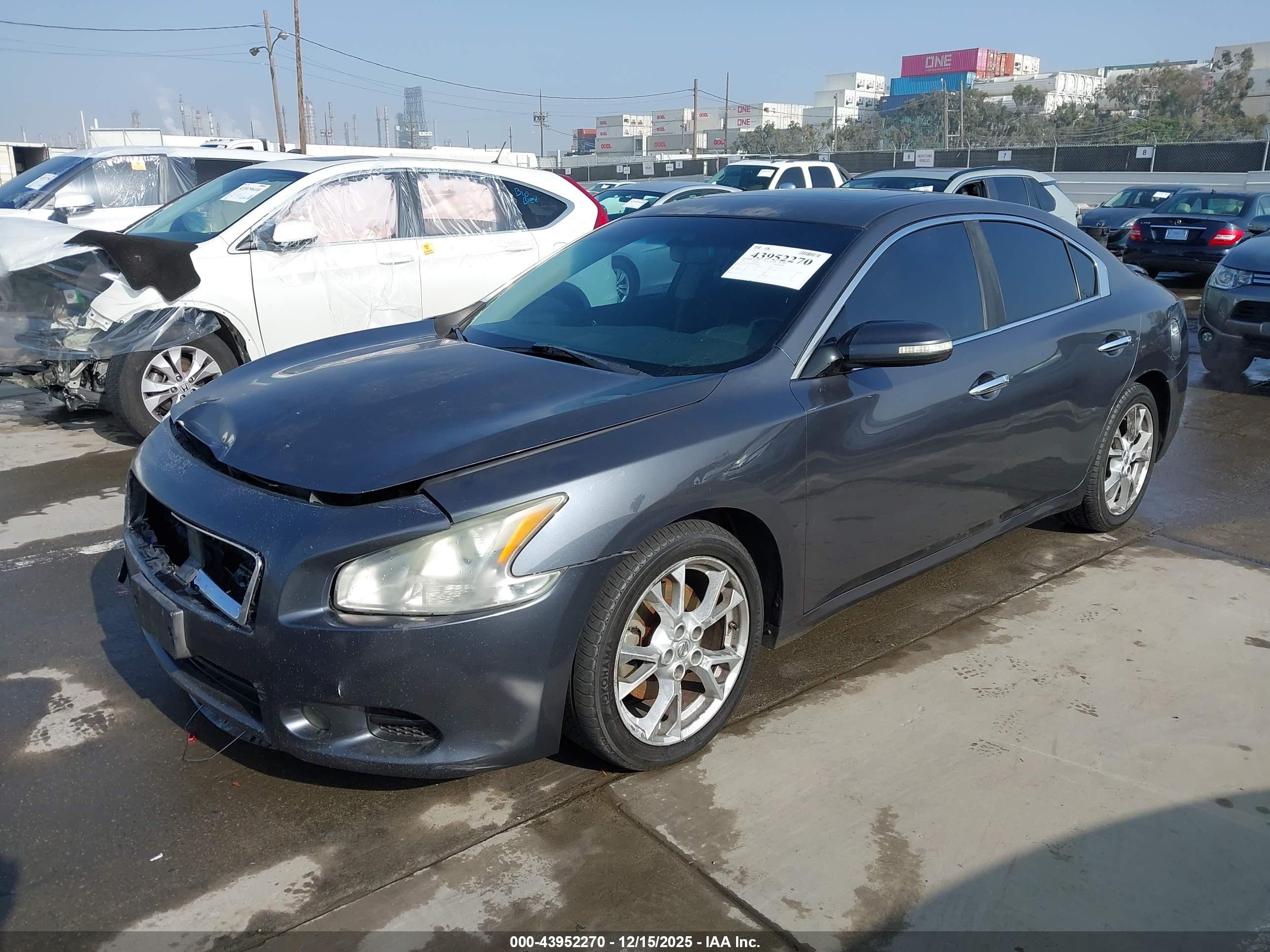 NISSAN MAXIMA image 2