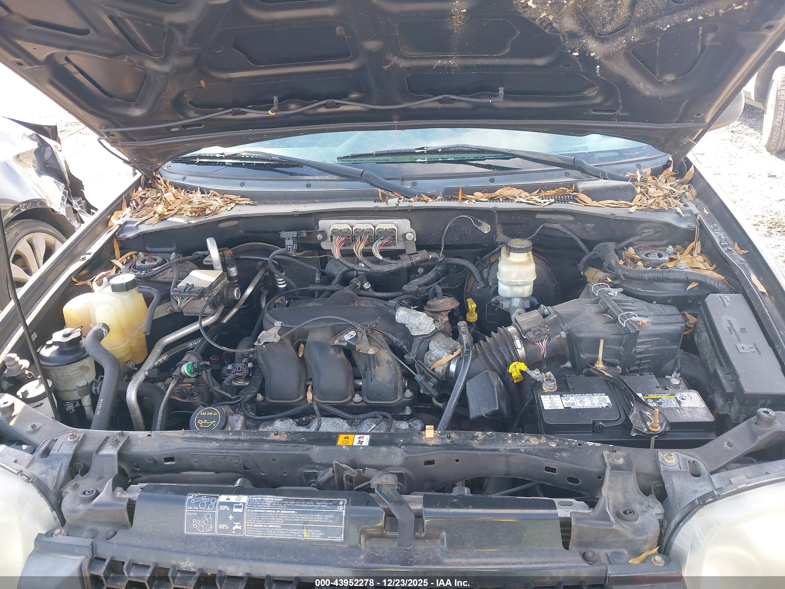 FORD ESCAPE image 10