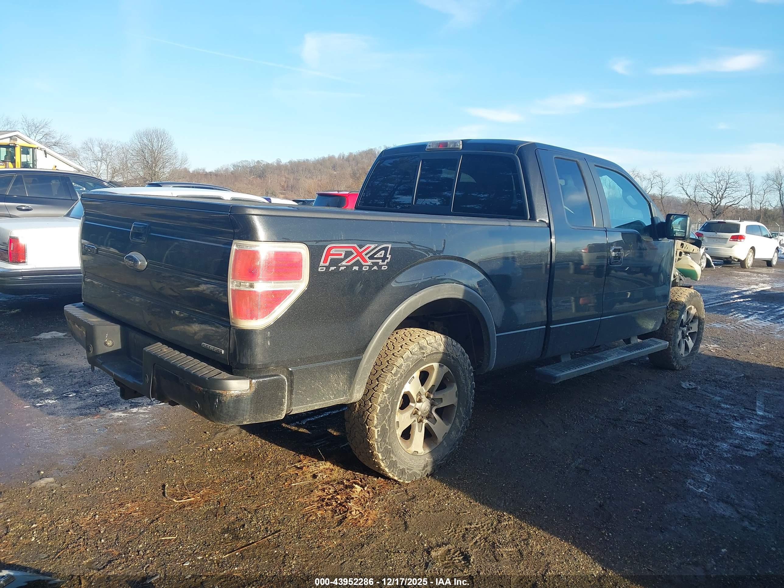 FORD F-150 image 4