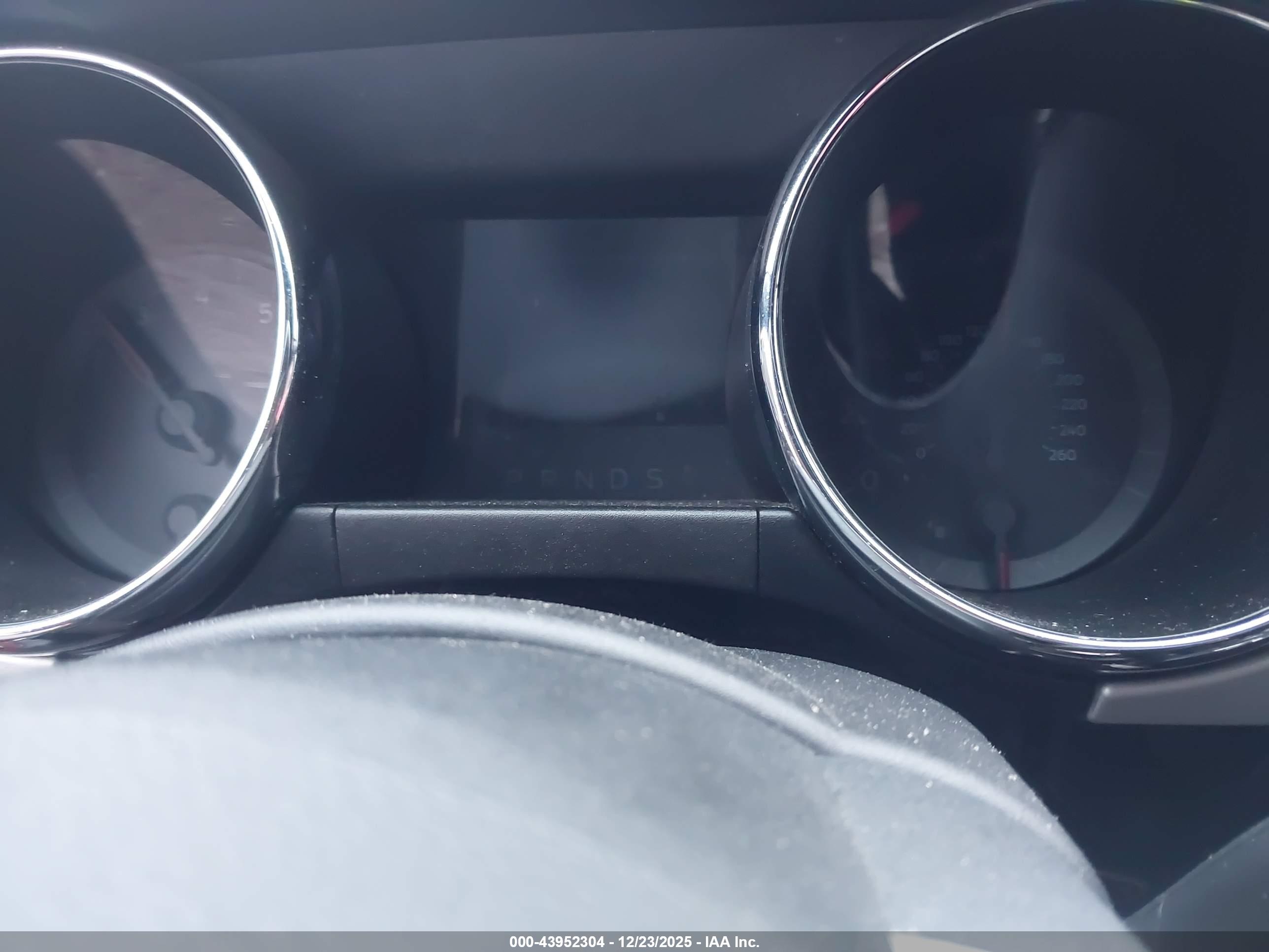 FORD MUSTANG image 7