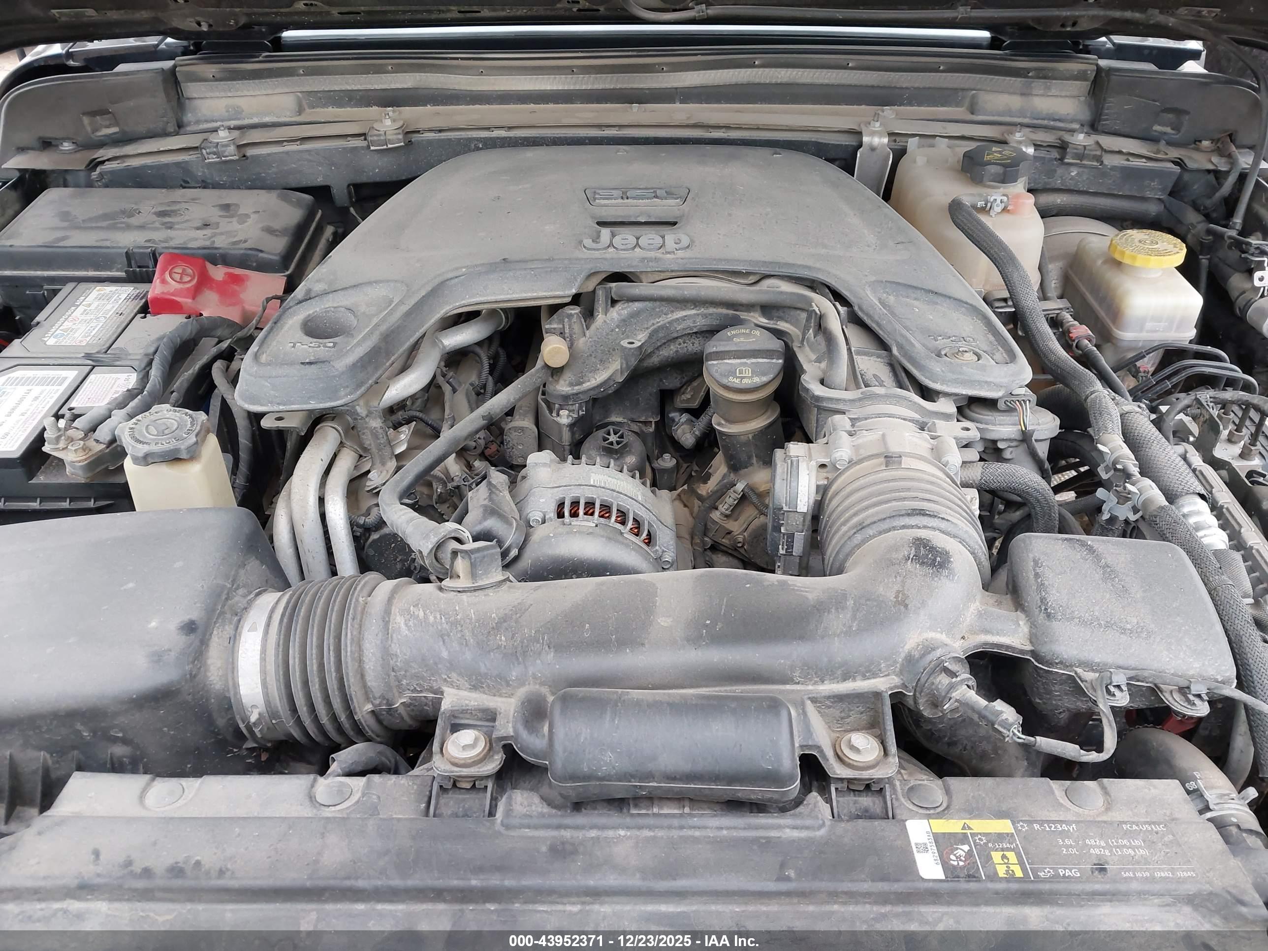 JEEP WRANGLER image 10