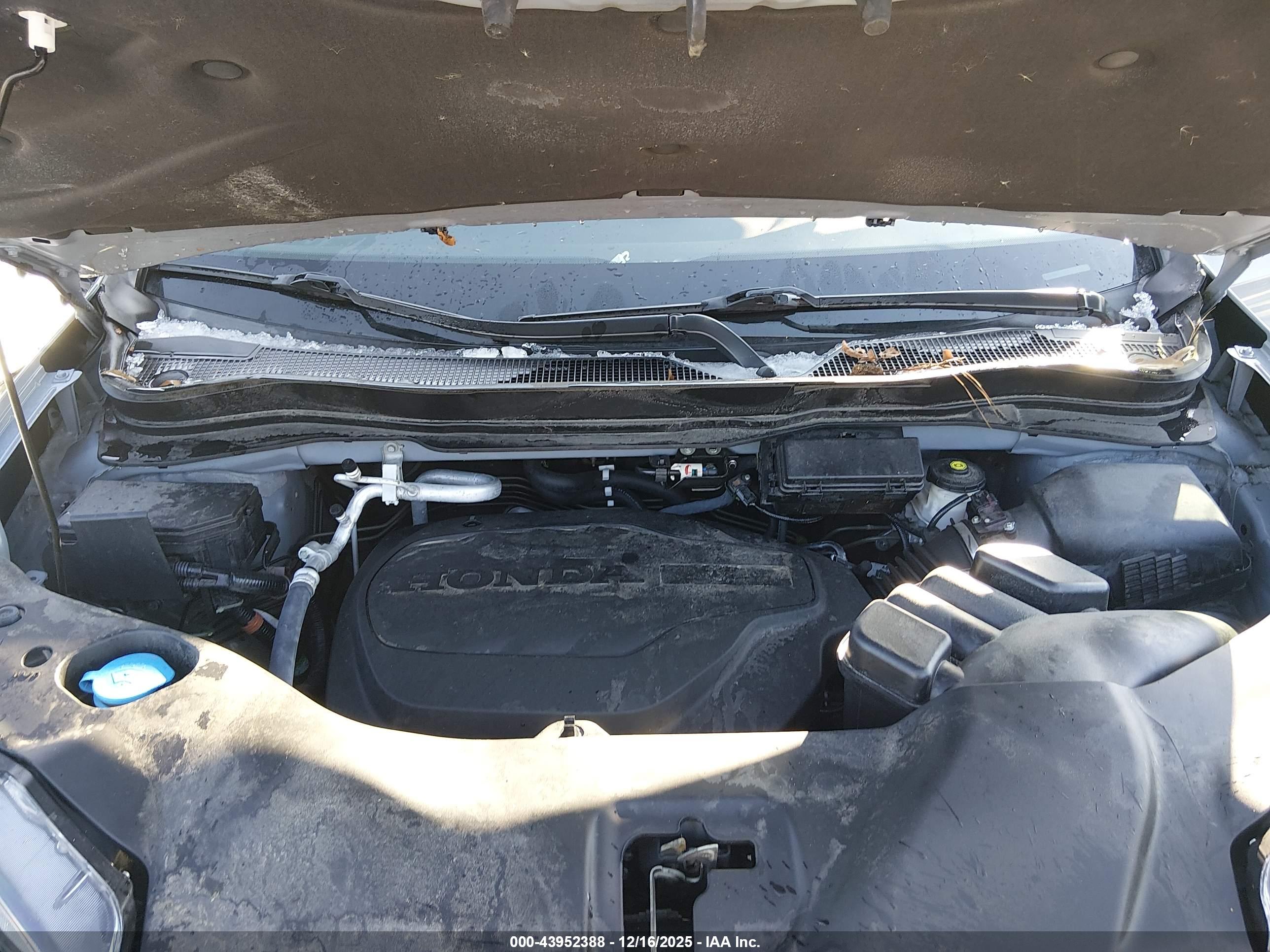 HONDA PILOT image 10