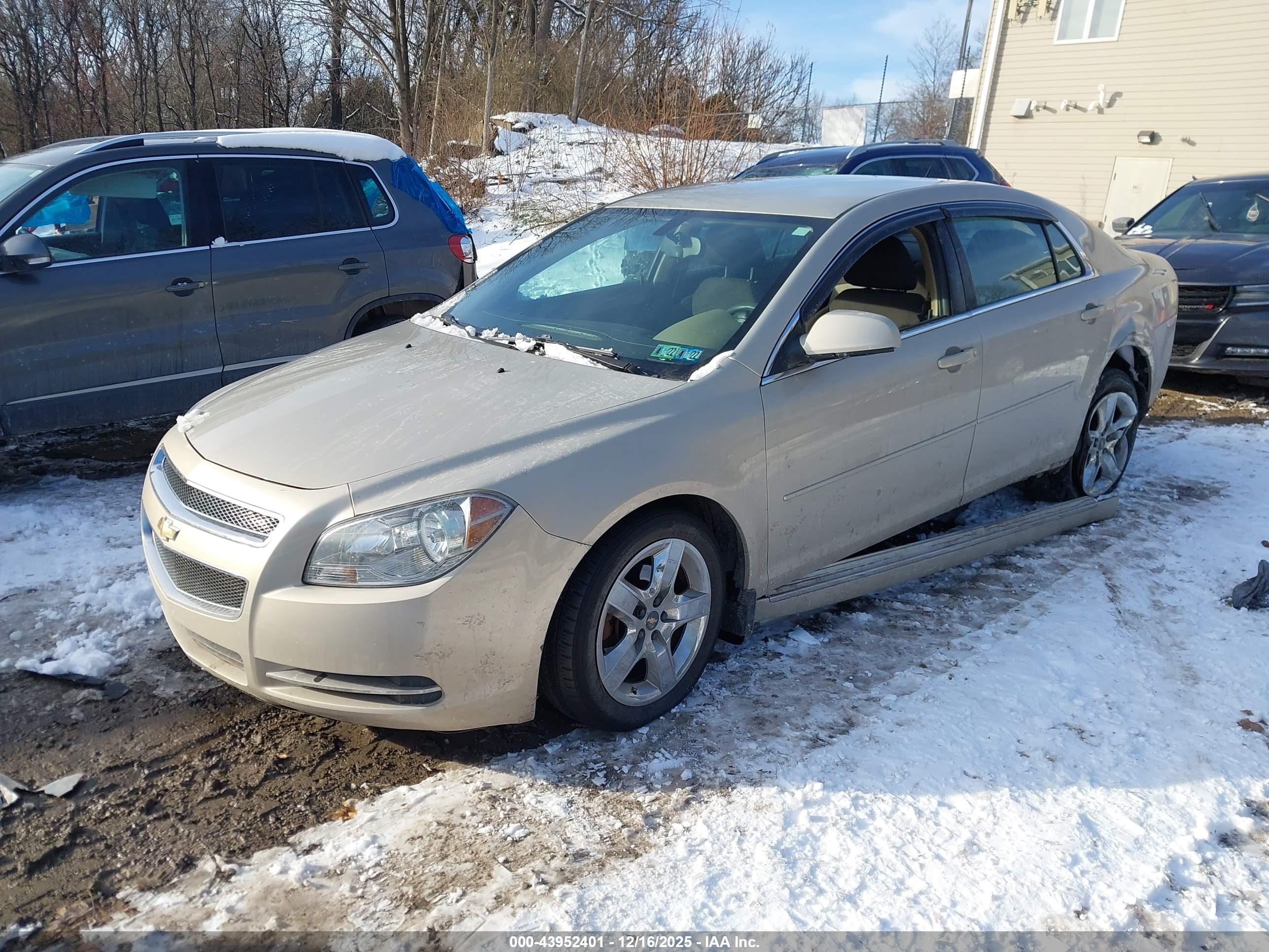 CHEVROLET MALIBU image 2