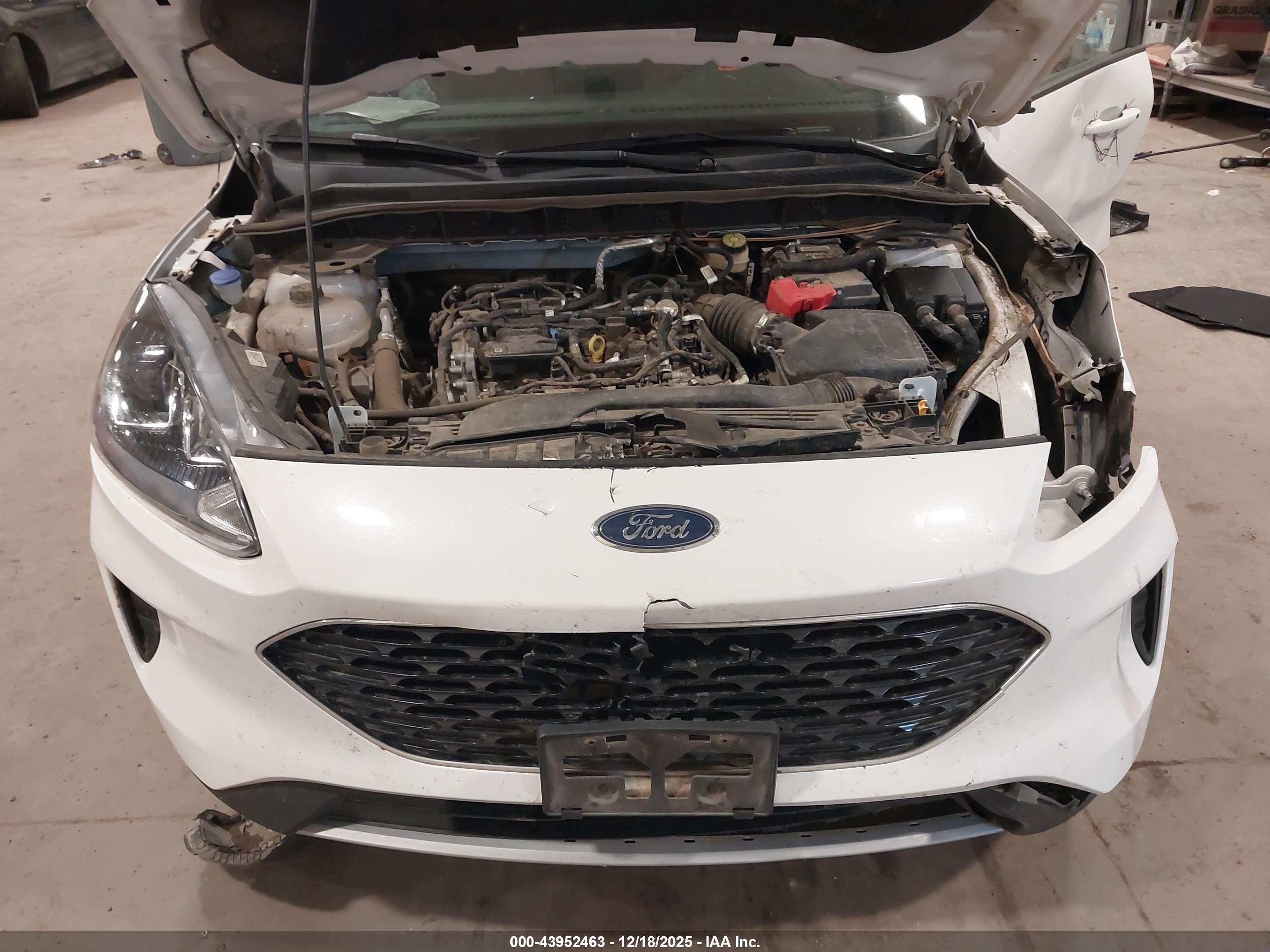 FORD ESCAPE image 10