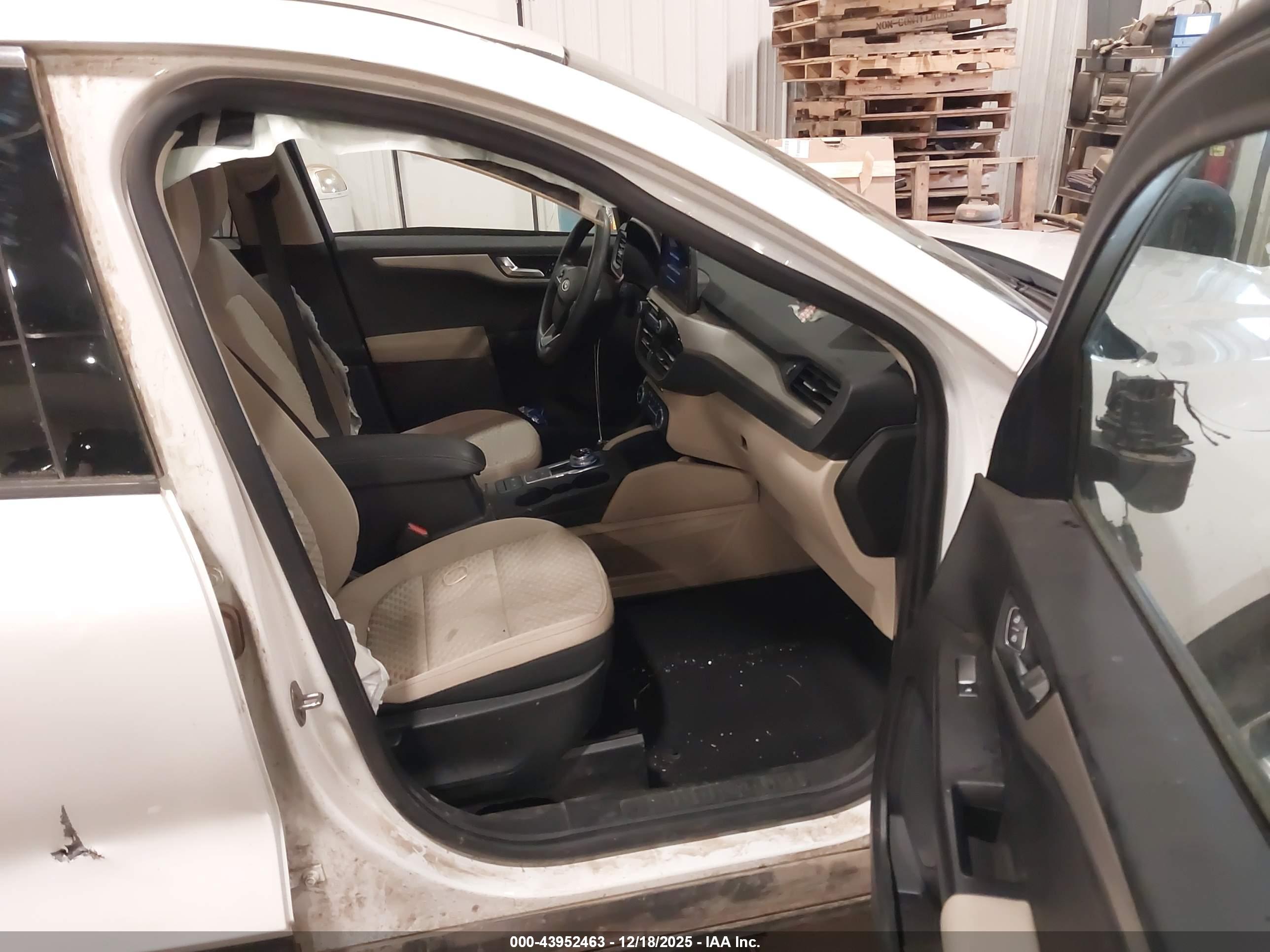 FORD ESCAPE image 5