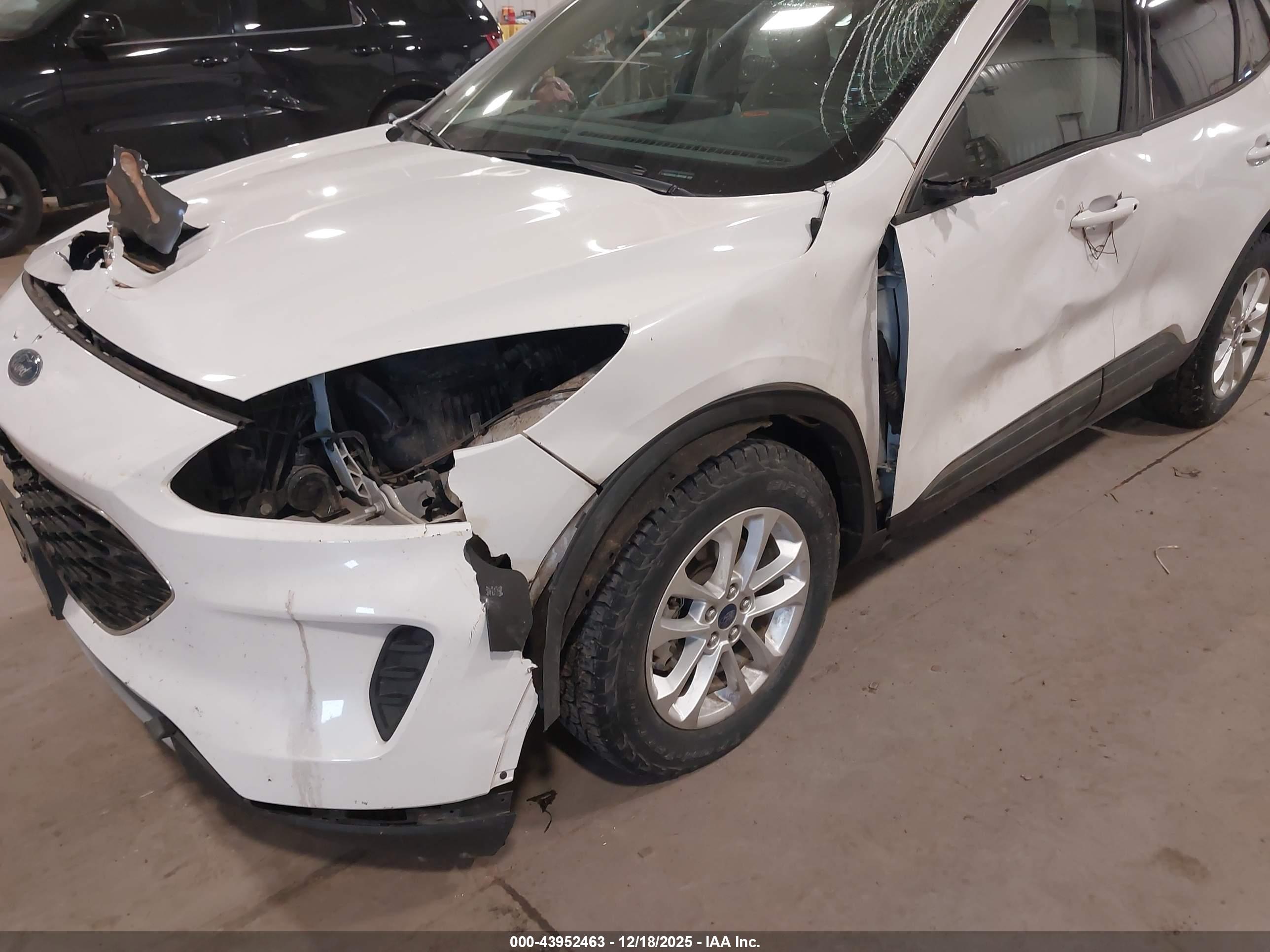 FORD ESCAPE image 6