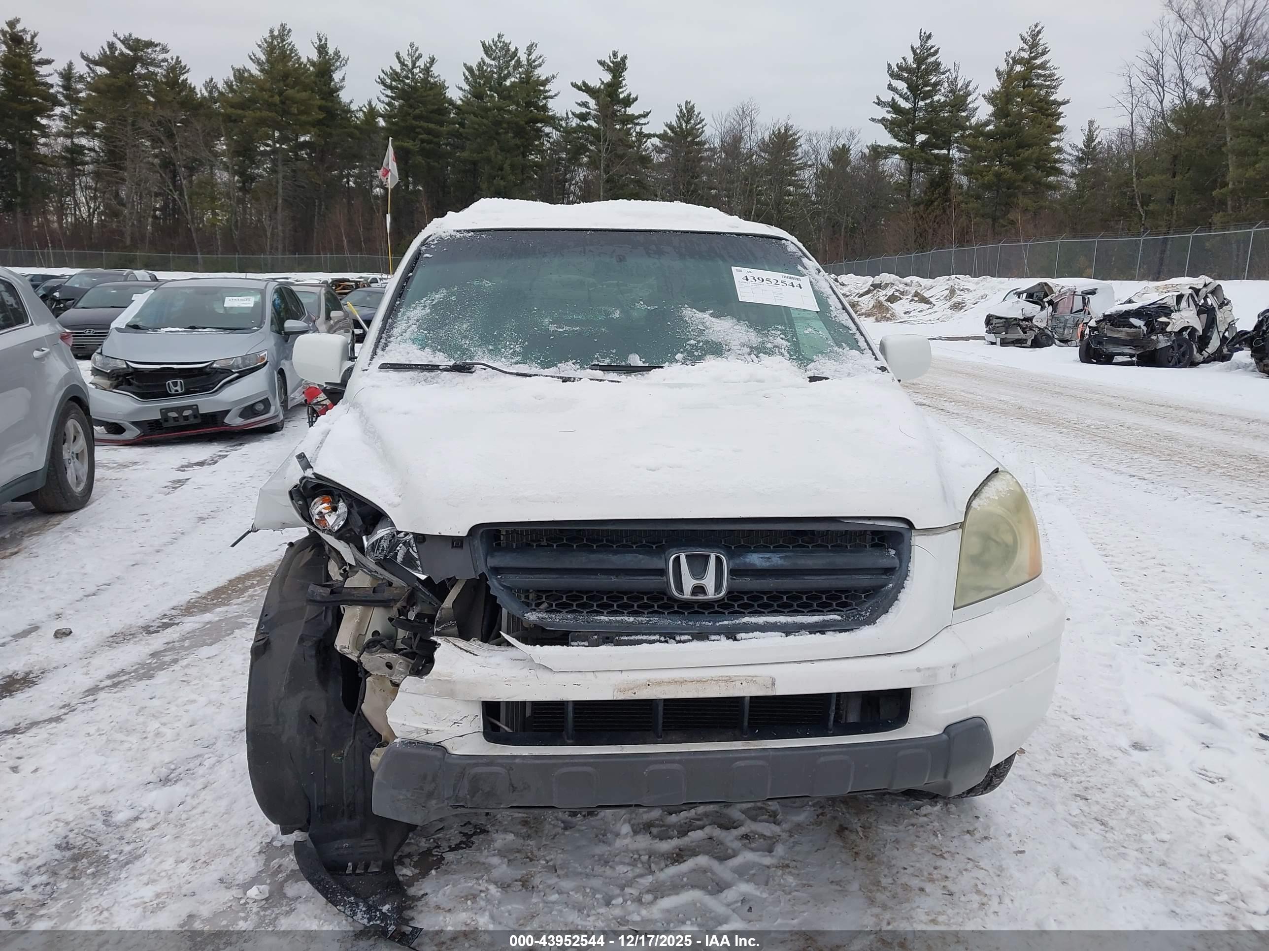 HONDA PILOT image 6