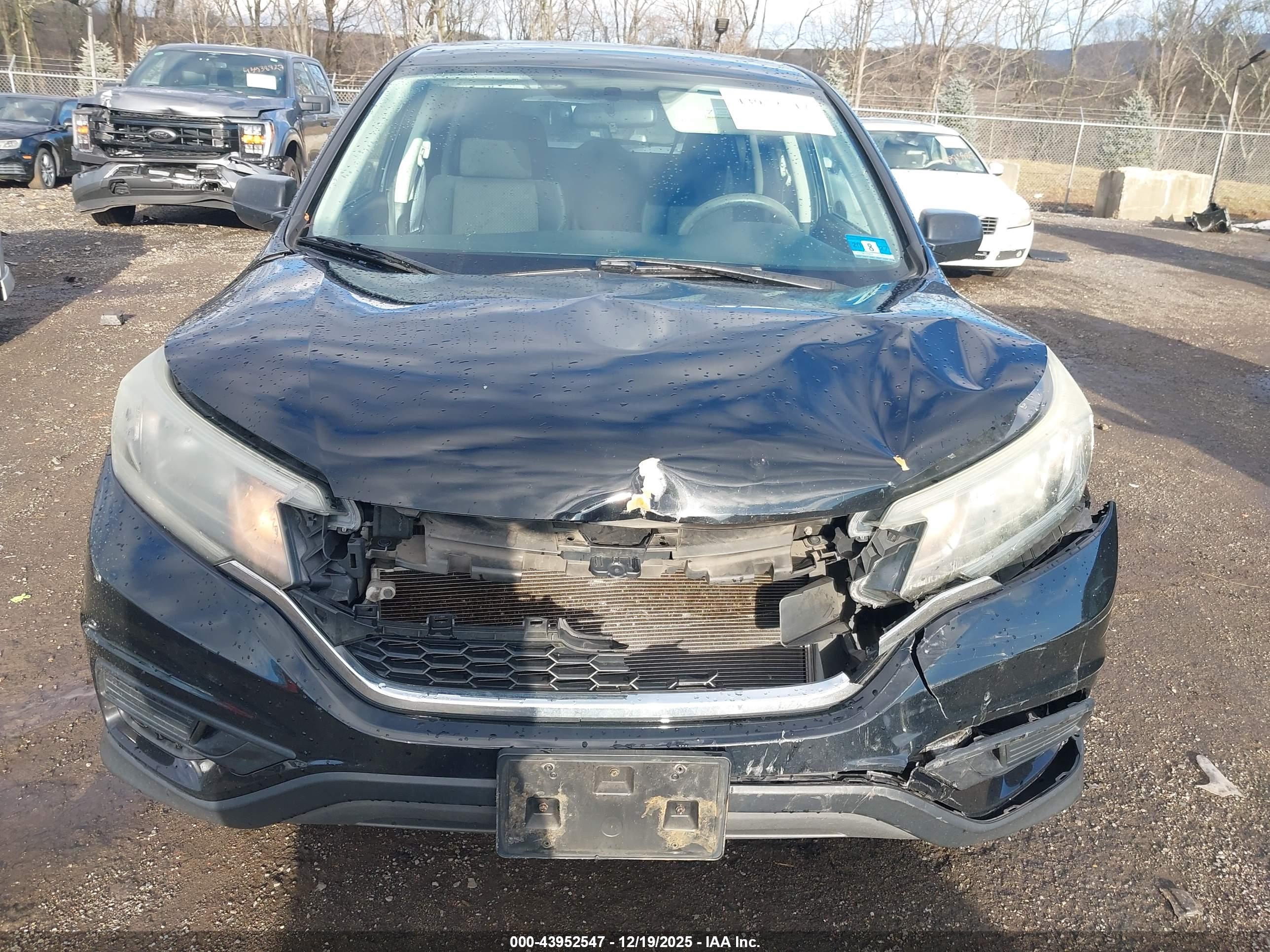 HONDA CR-V image 6