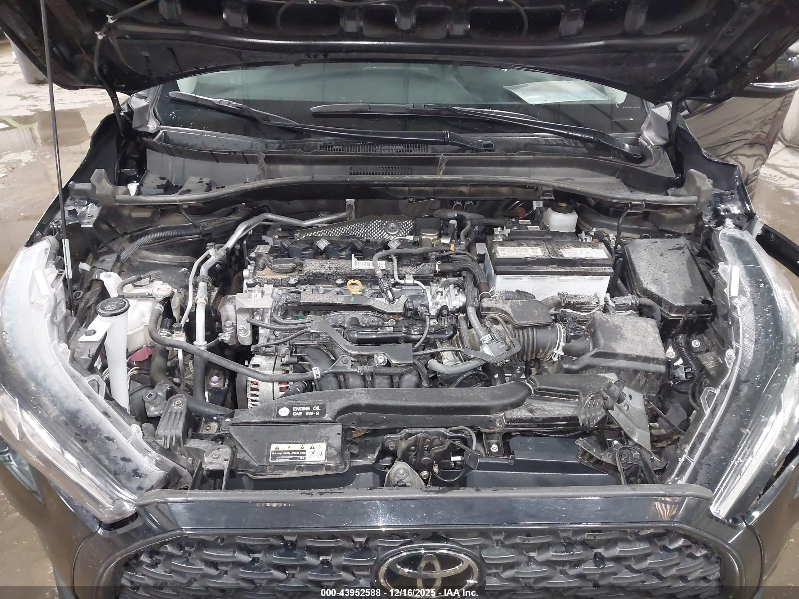 TOYOTA COROLLA image 10