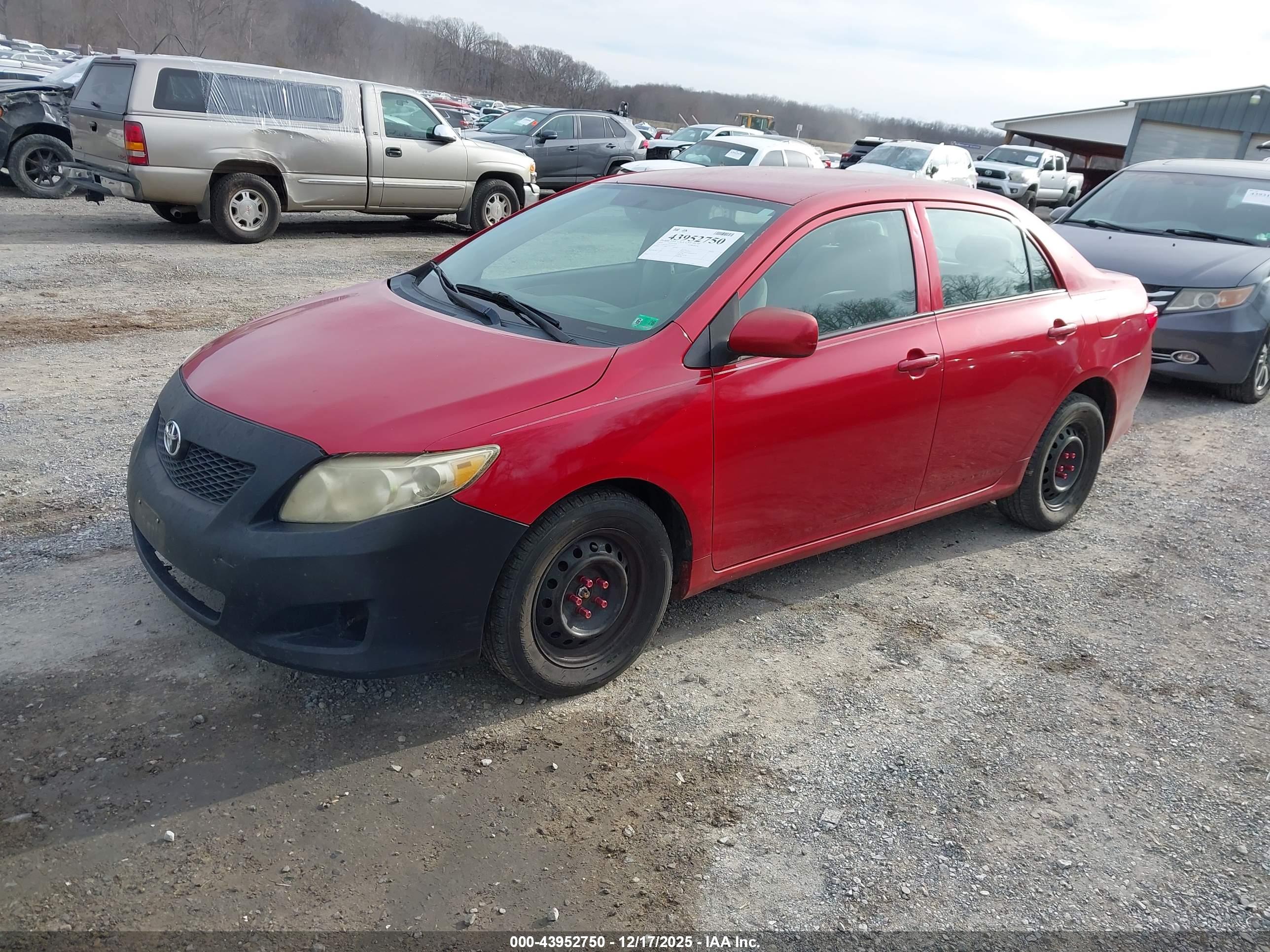 TOYOTA COROLLA image 2