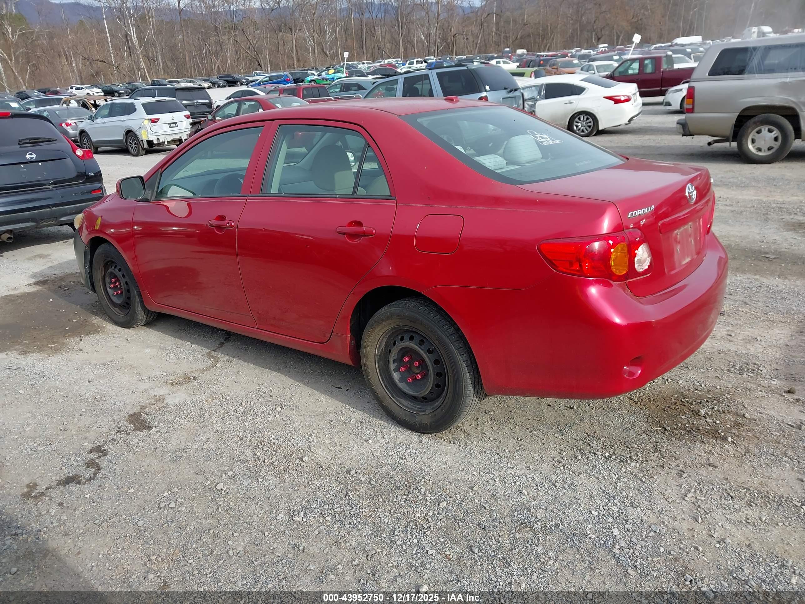 TOYOTA COROLLA image 3
