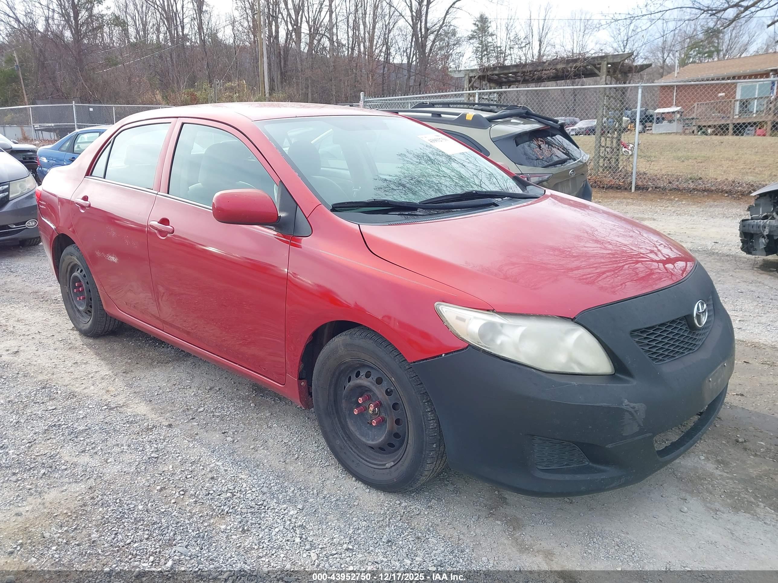 TOYOTA COROLLA image 6
