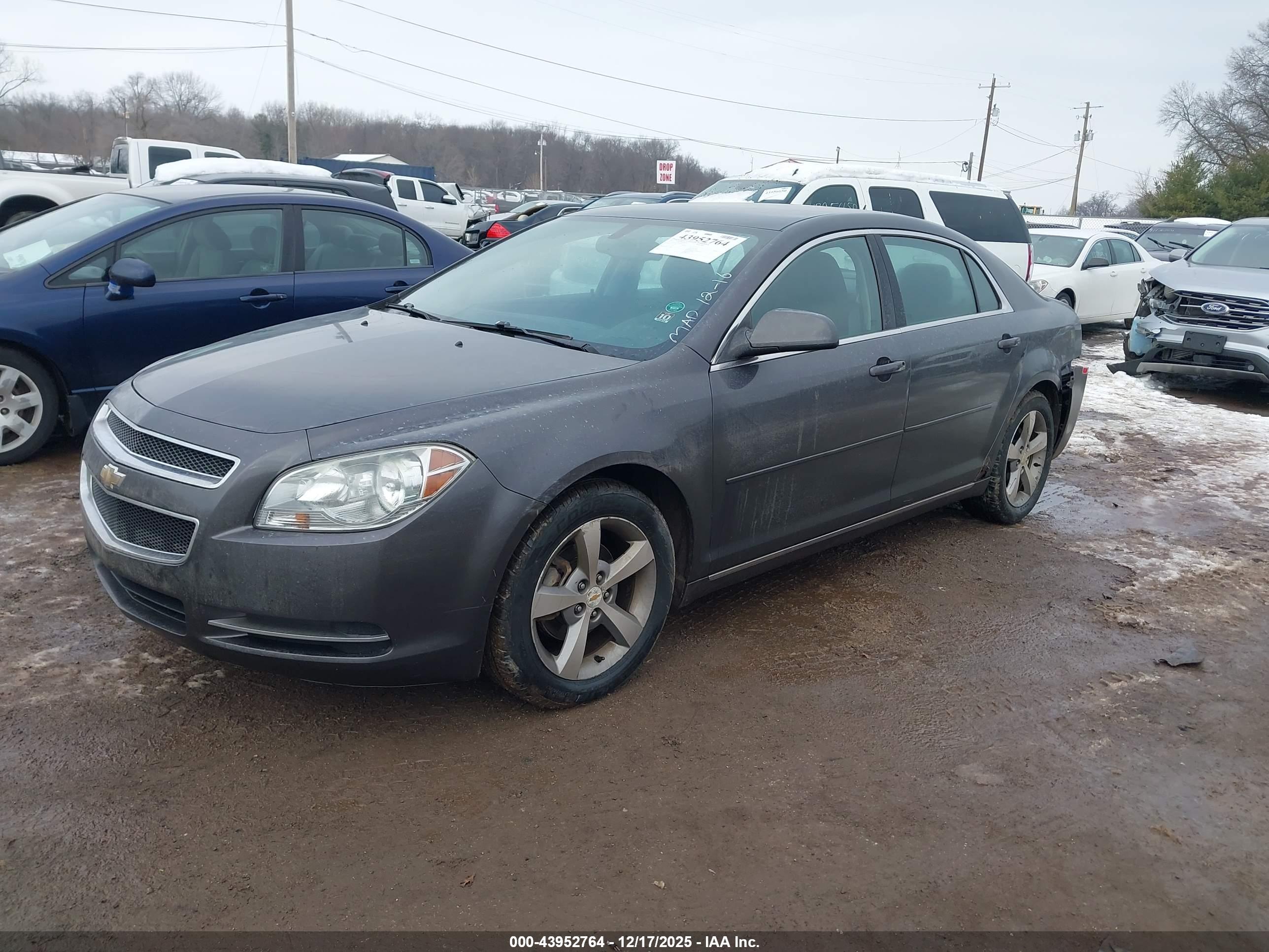 CHEVROLET MALIBU image 2