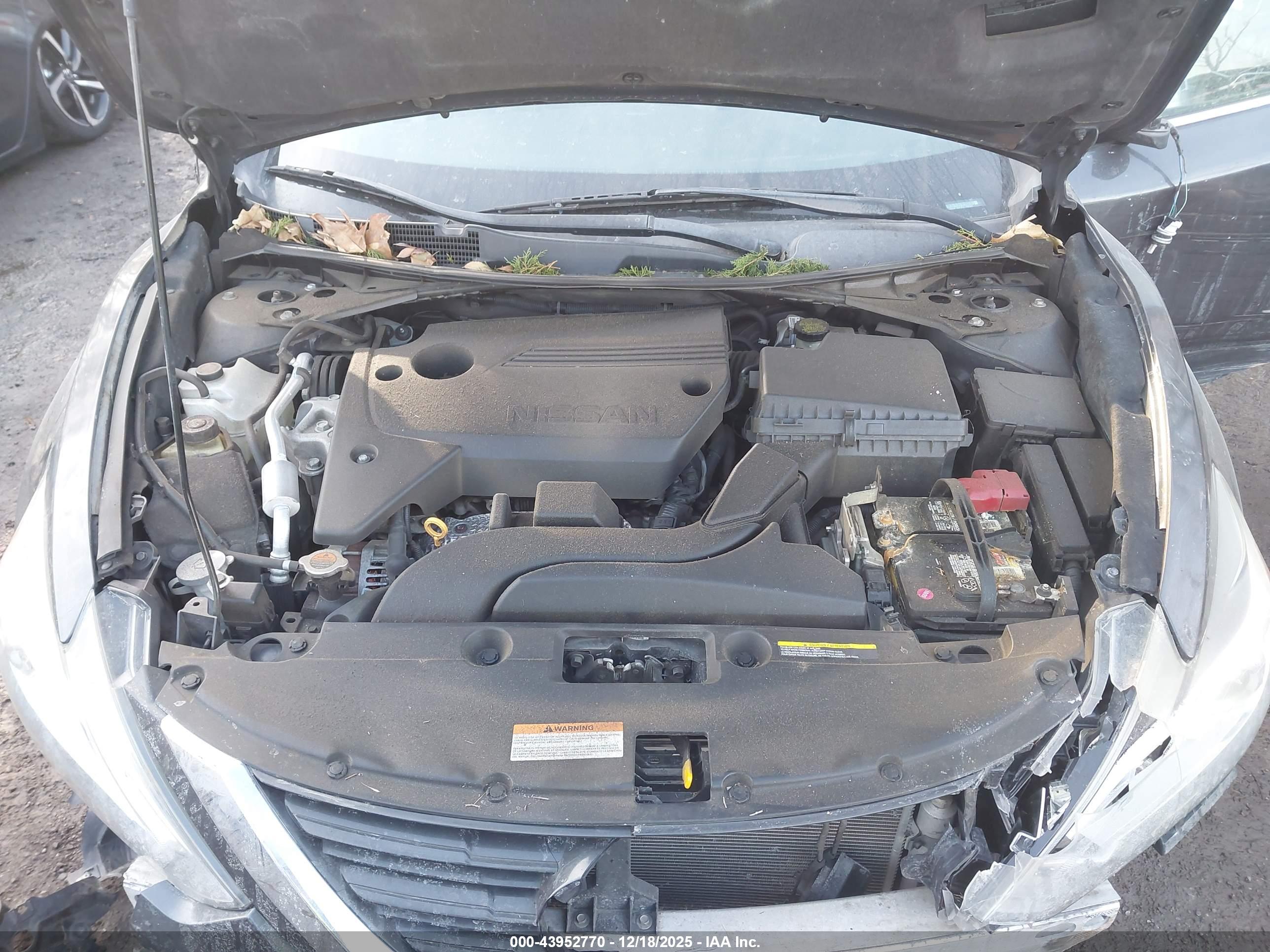 NISSAN ALTIMA image 10