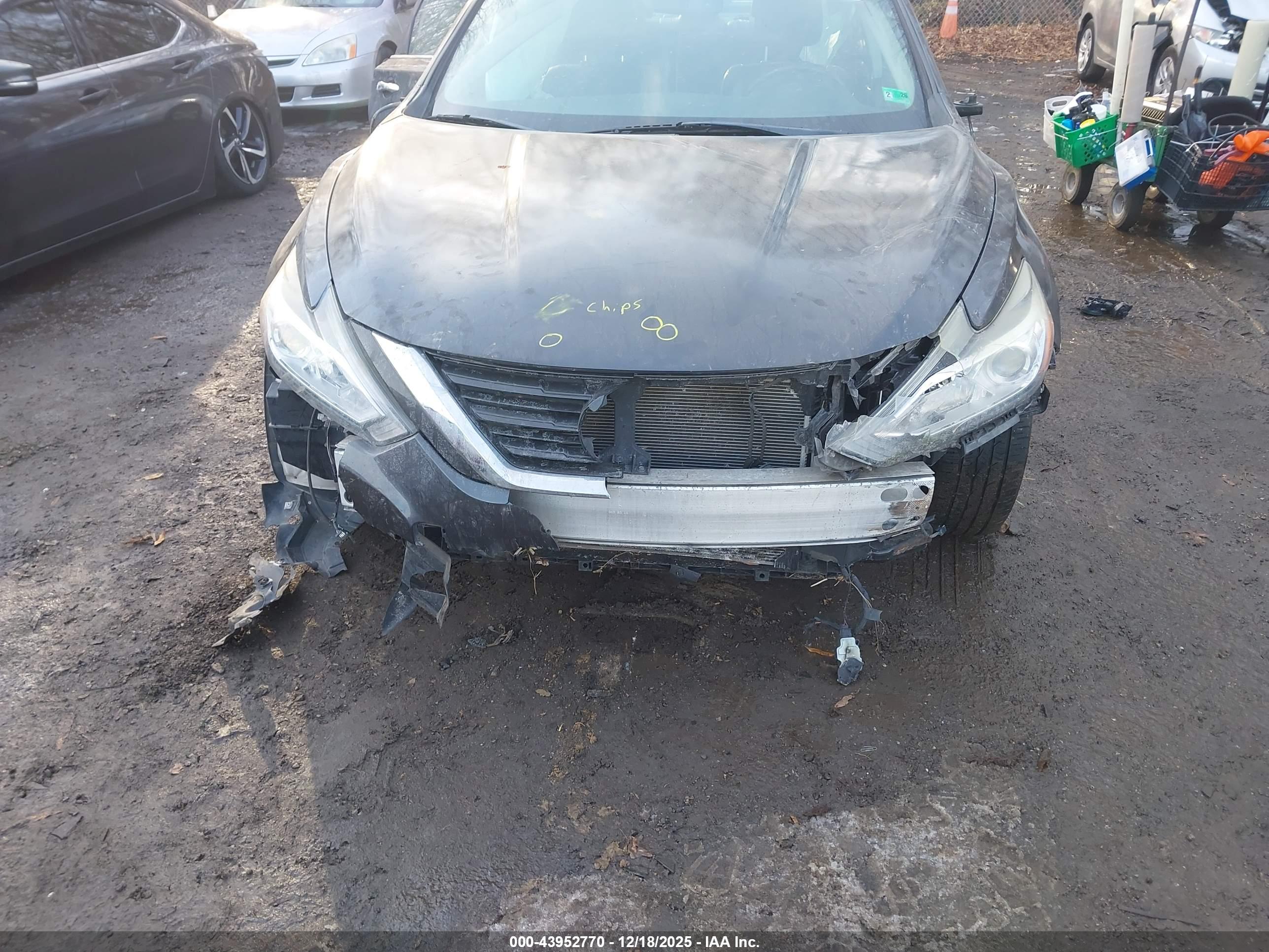 NISSAN ALTIMA image 6