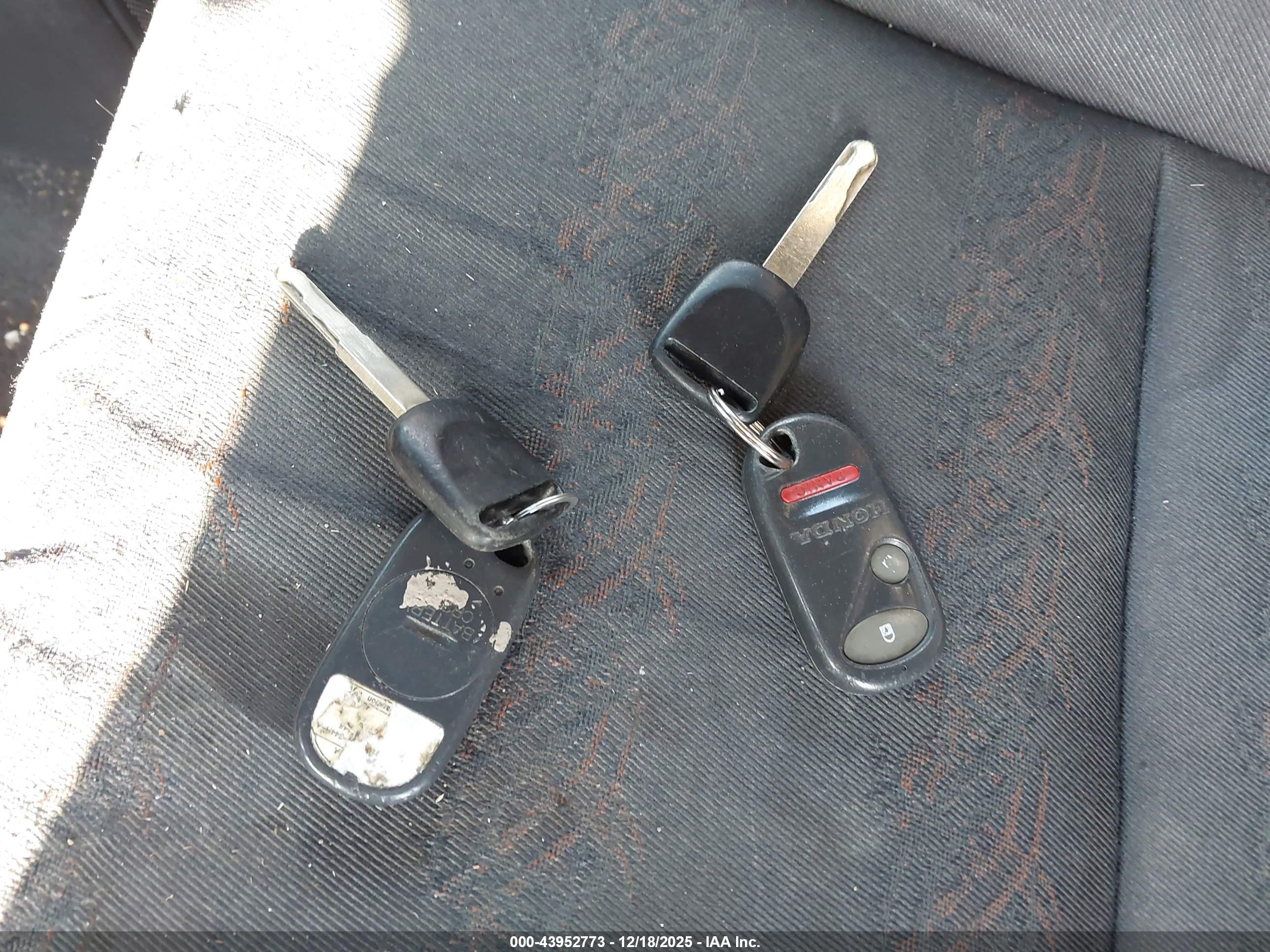 HONDA ELEMENT image 11