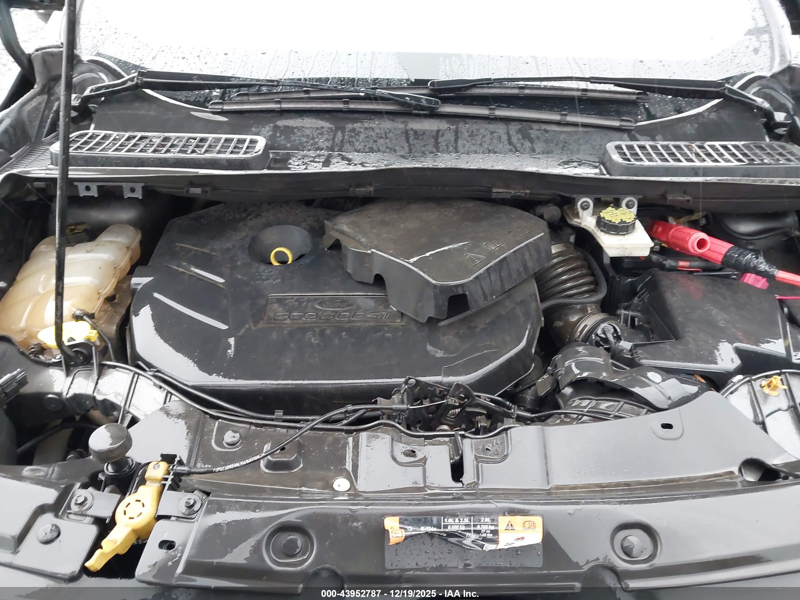FORD ESCAPE image 10