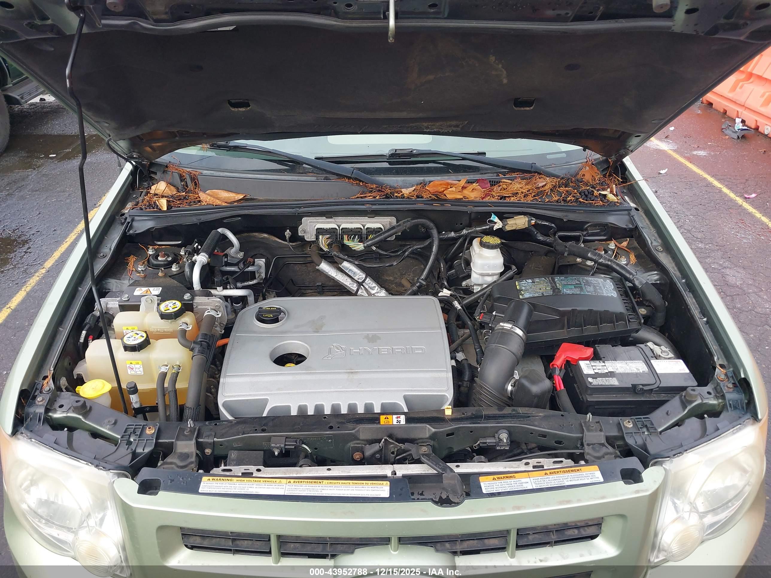 FORD ESCAPE image 10