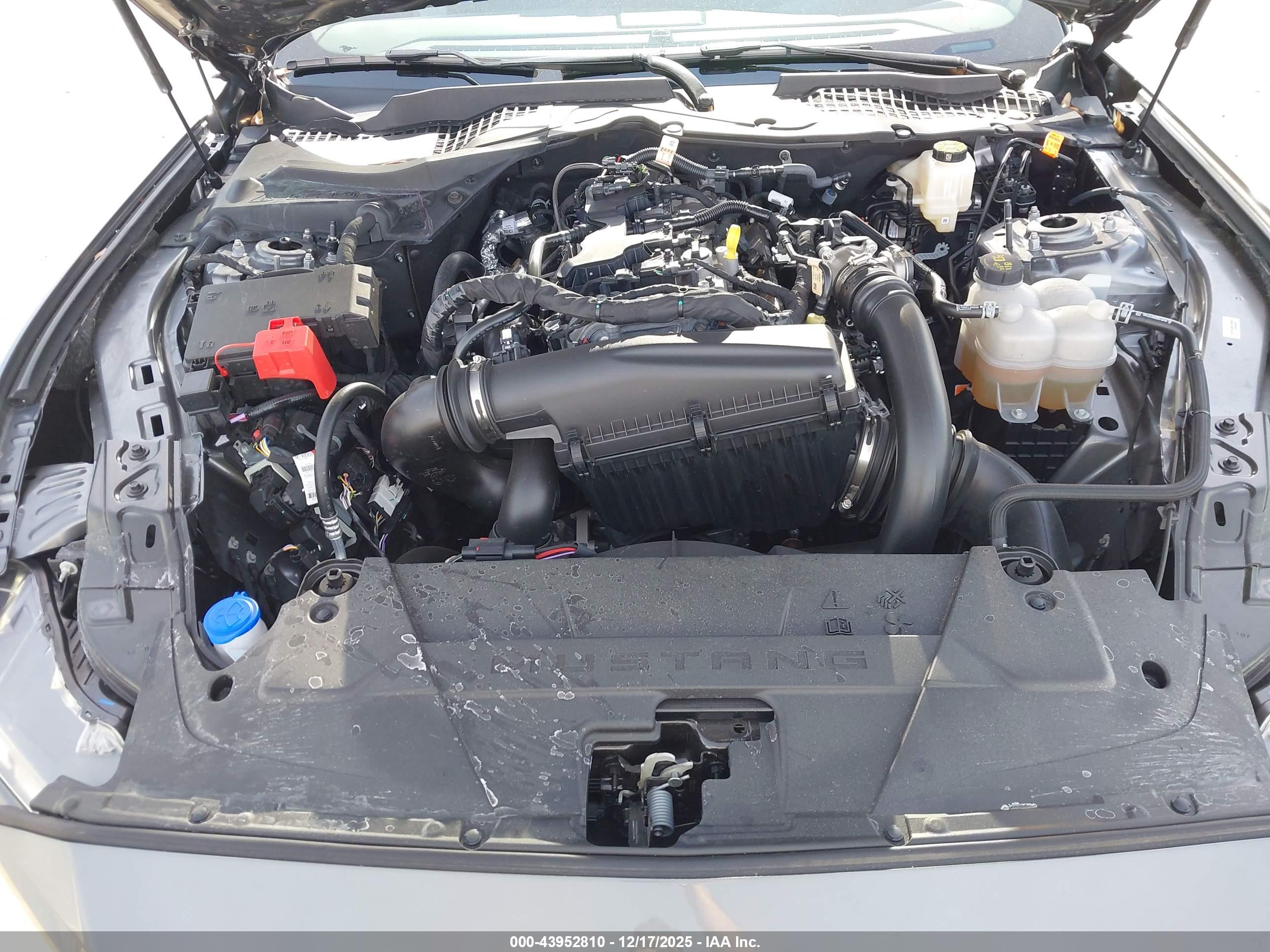 FORD MUSTANG image 10