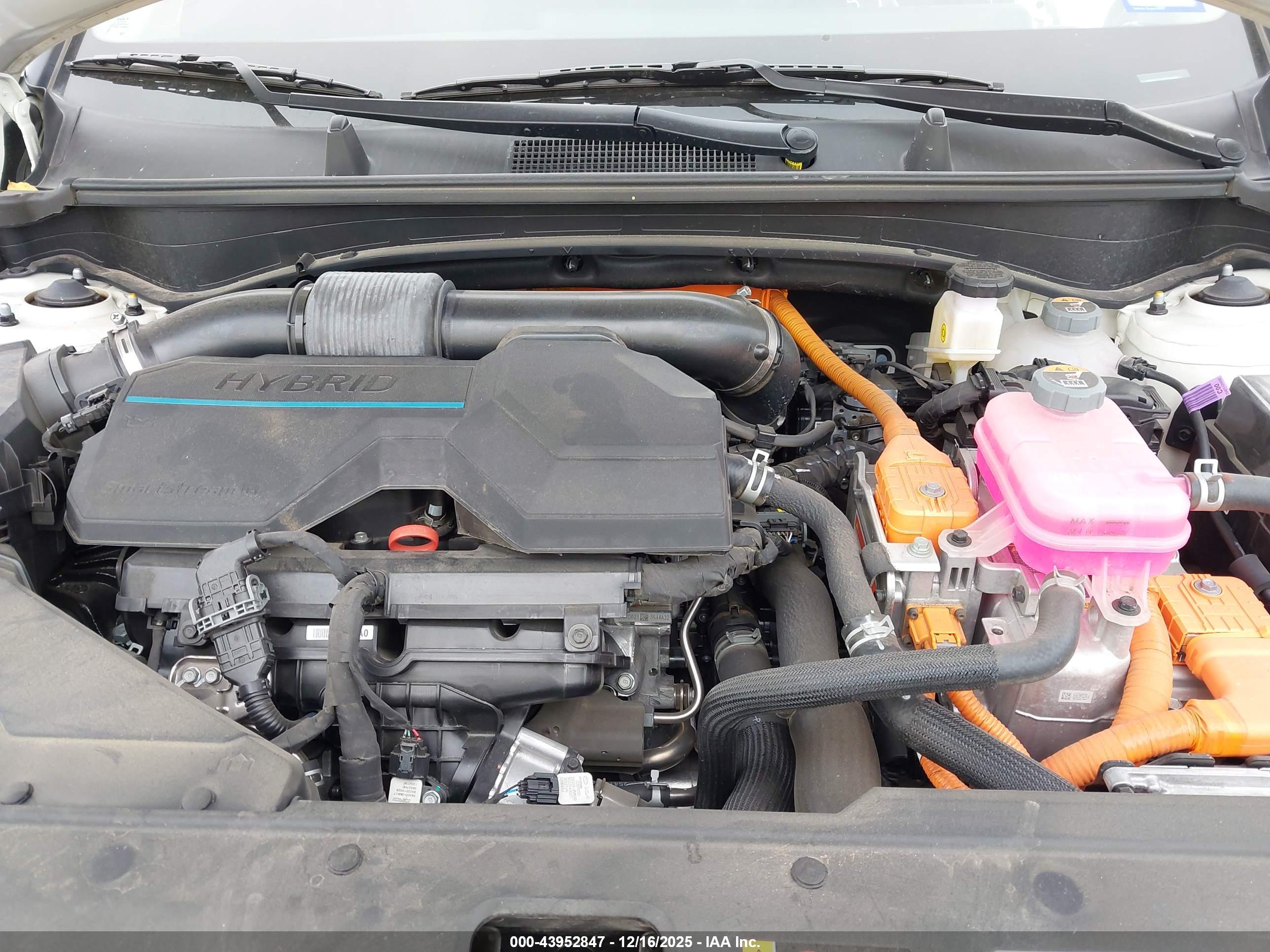 KIA SPORTAGE image 10