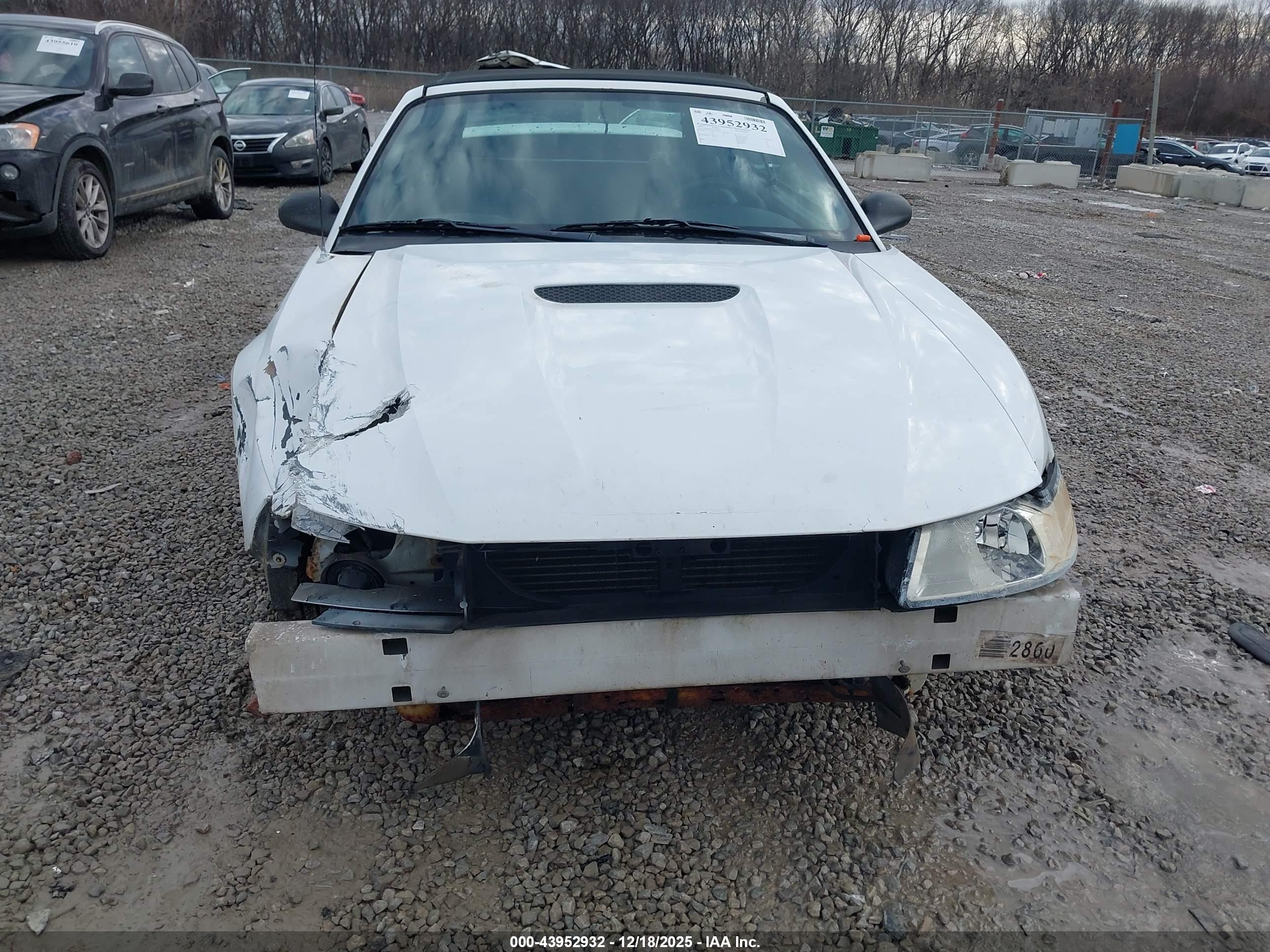 FORD MUSTANG image 6