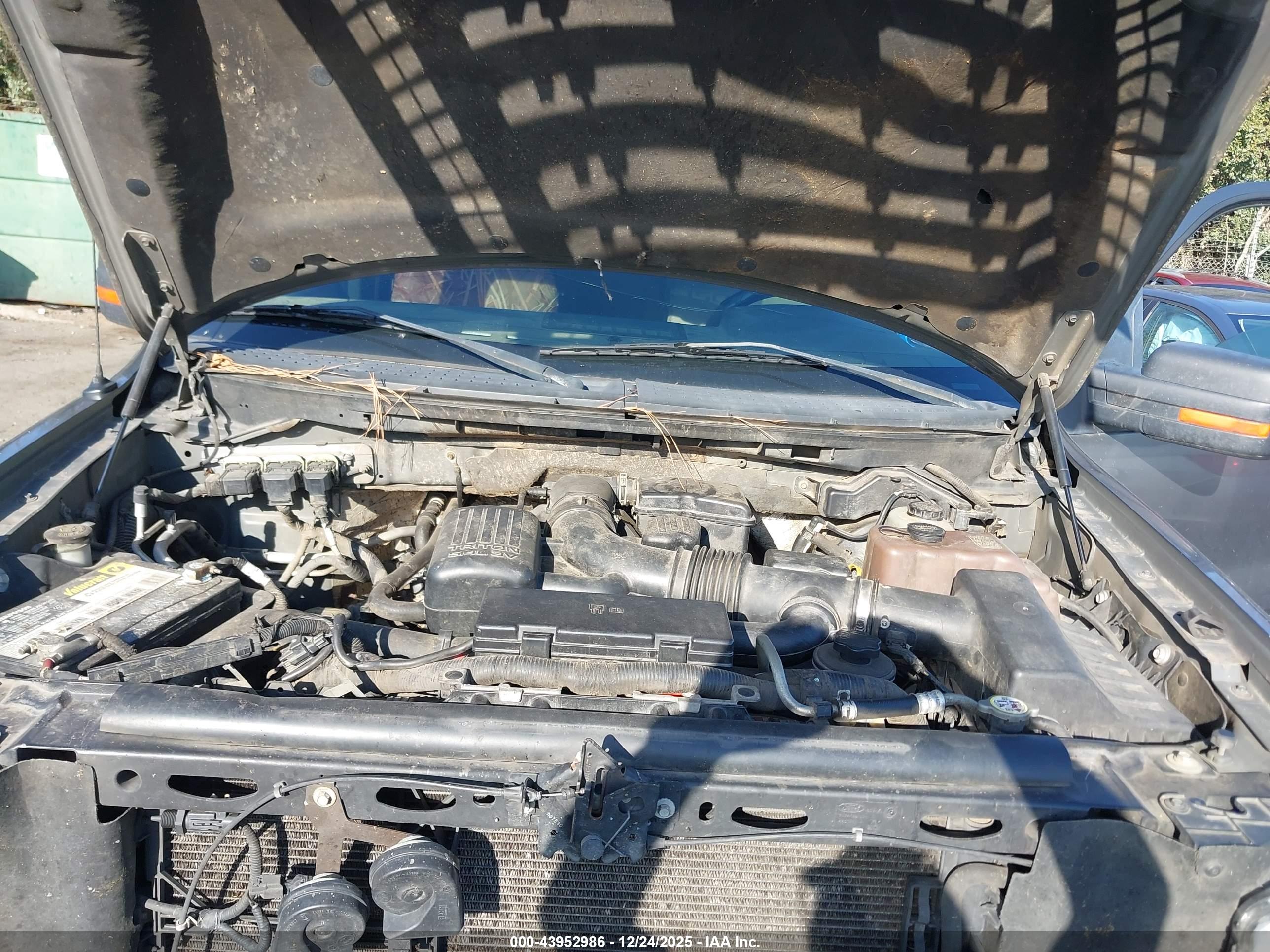 FORD F-150 image 10