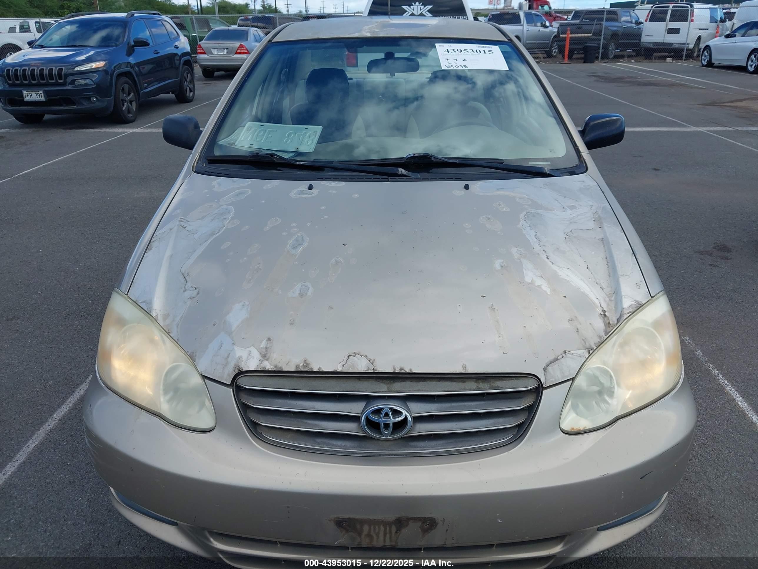 TOYOTA COROLLA image 6