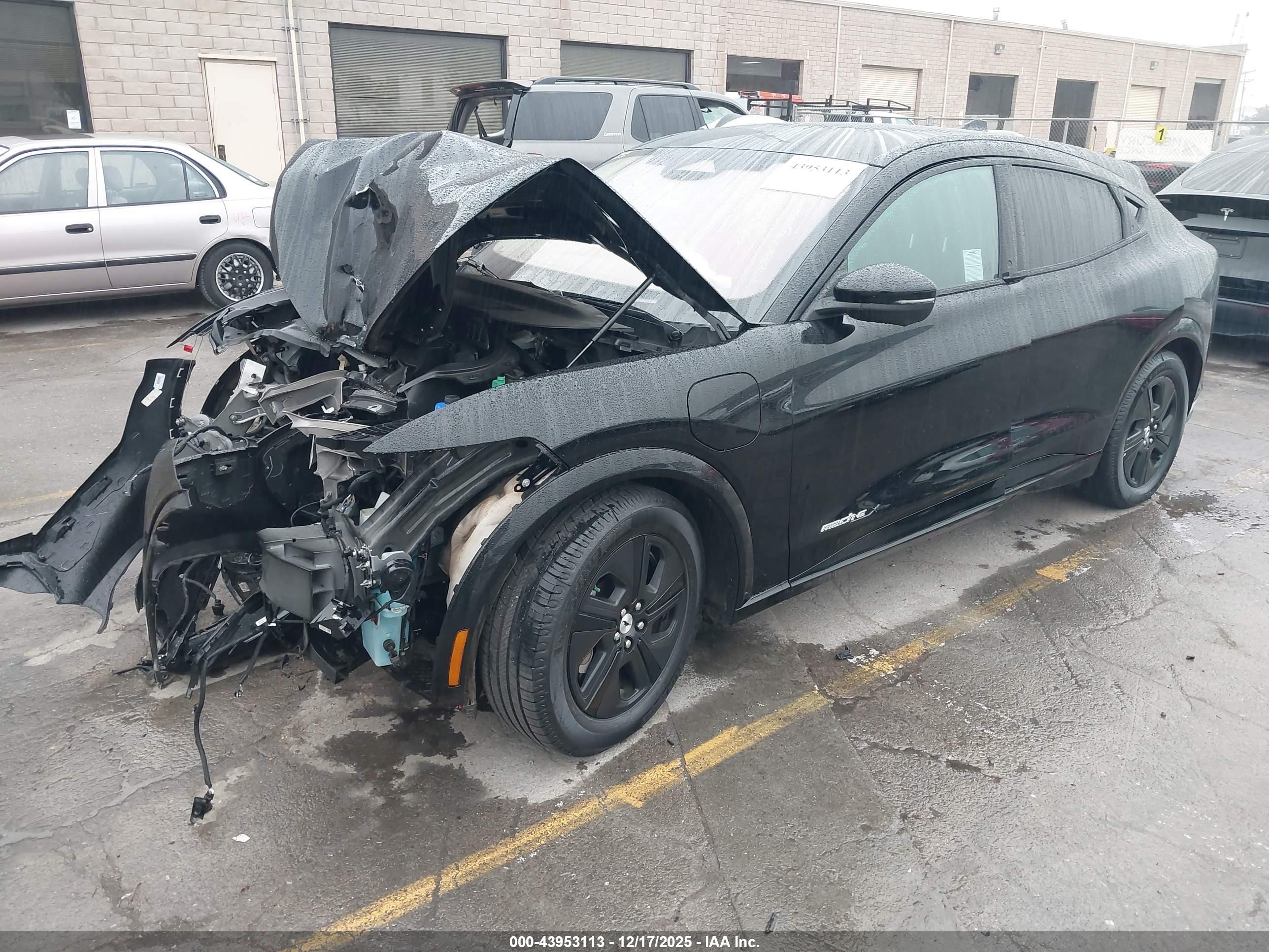 FORD MUSTANG image 2