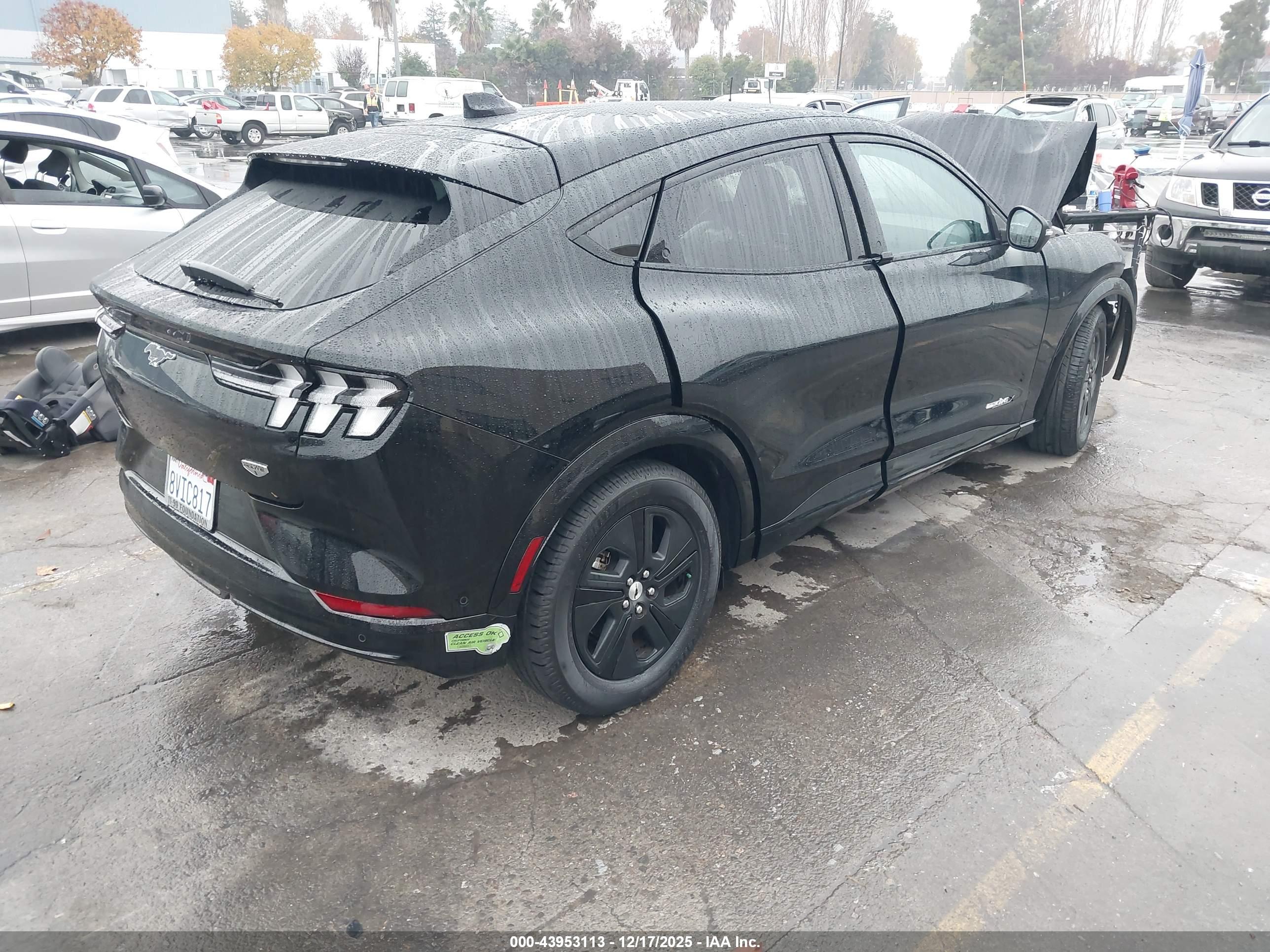 FORD MUSTANG image 4