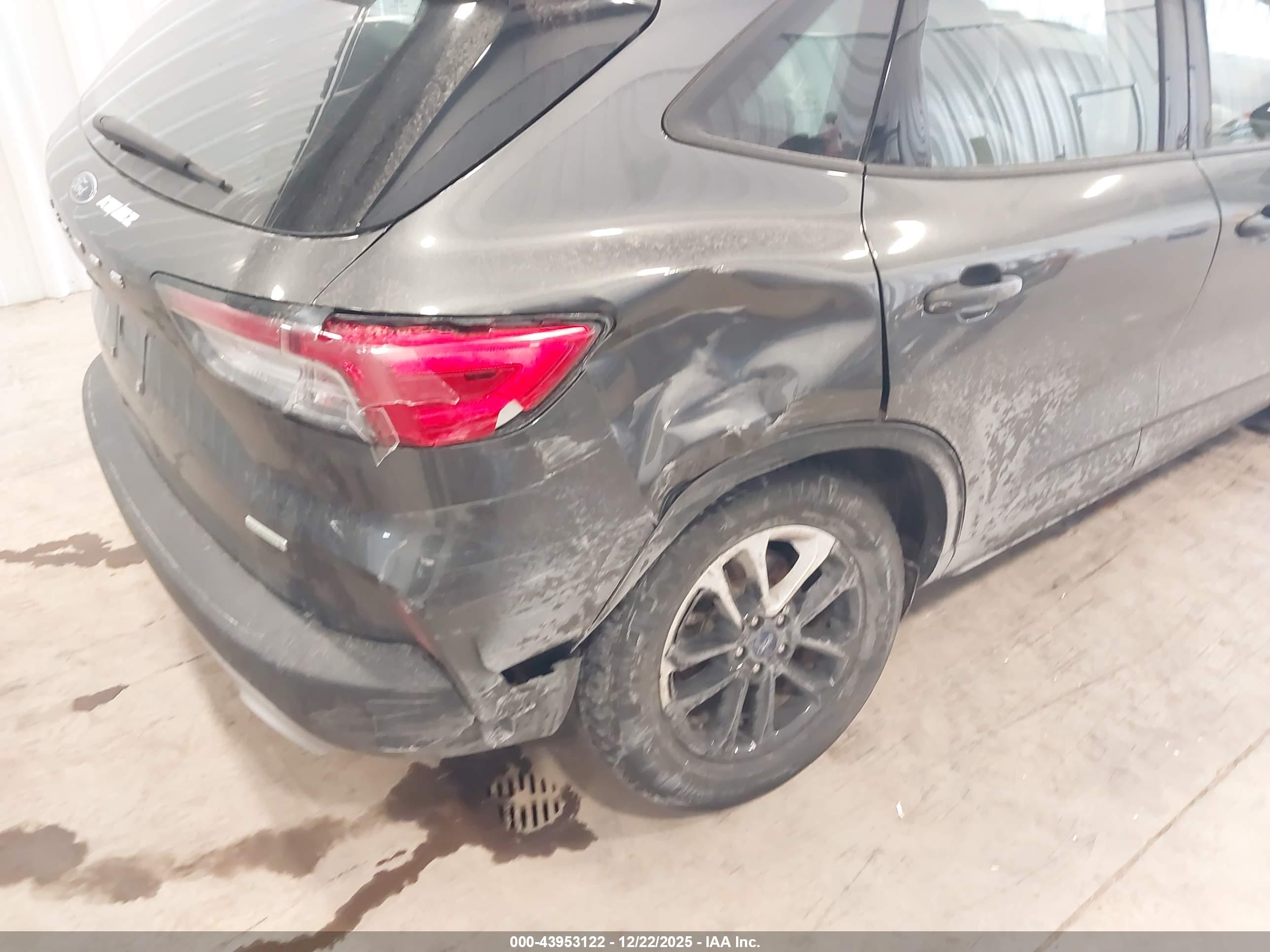 FORD ESCAPE image 6