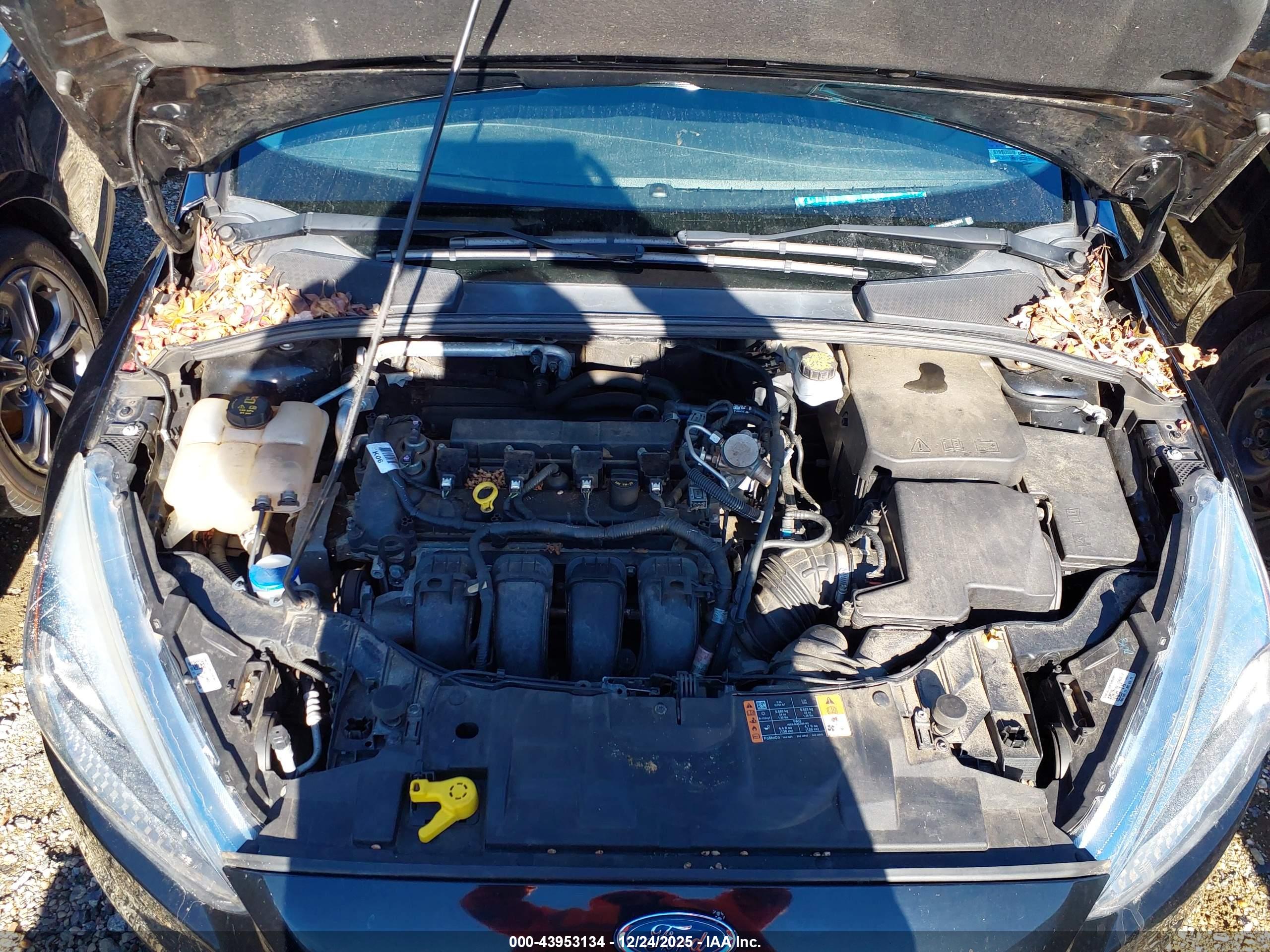 FORD FOCUS image 10